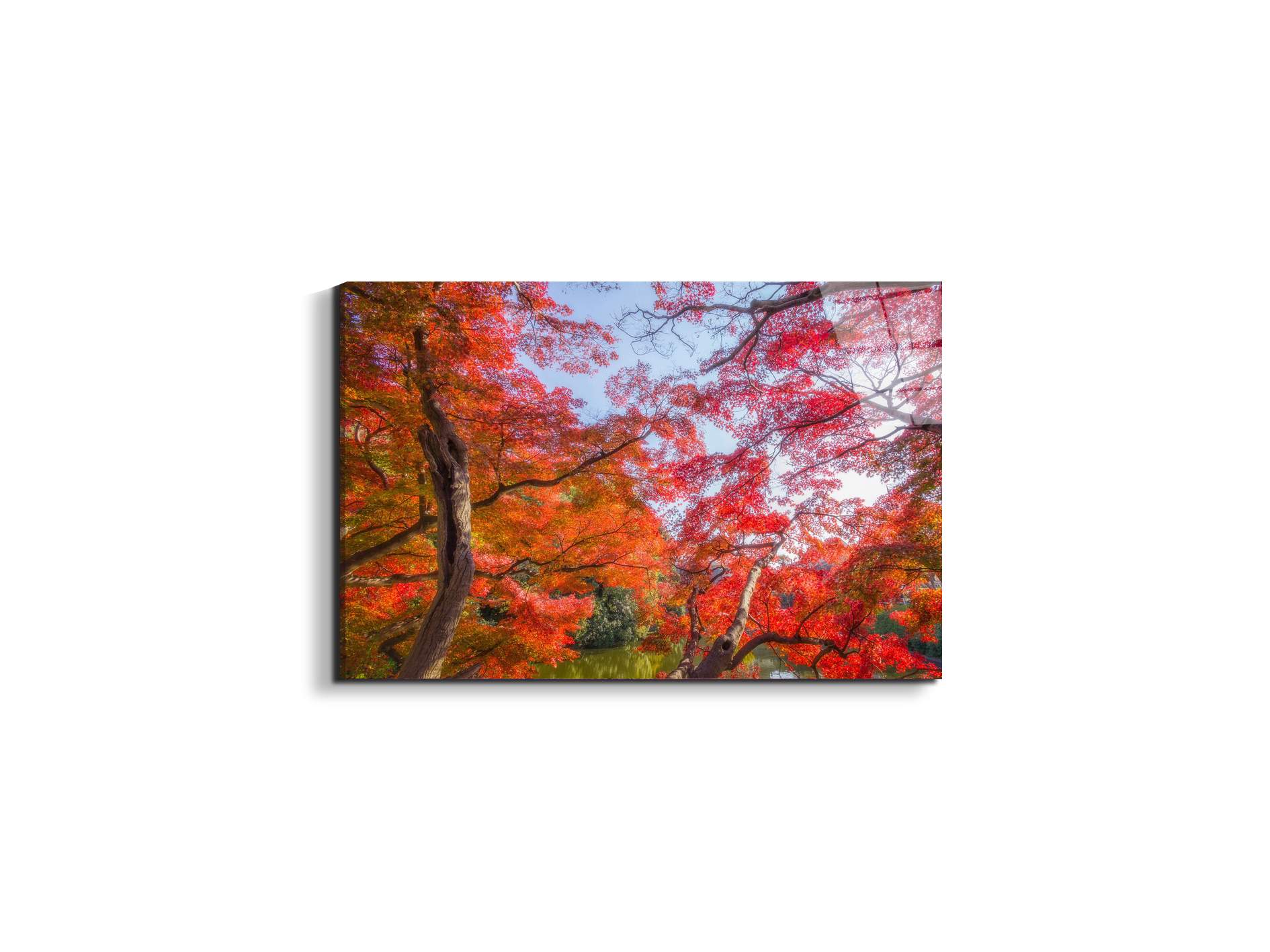 autunnoas92358-#materiale_EarthArt Total Gloss/dimensioni_50x33,33