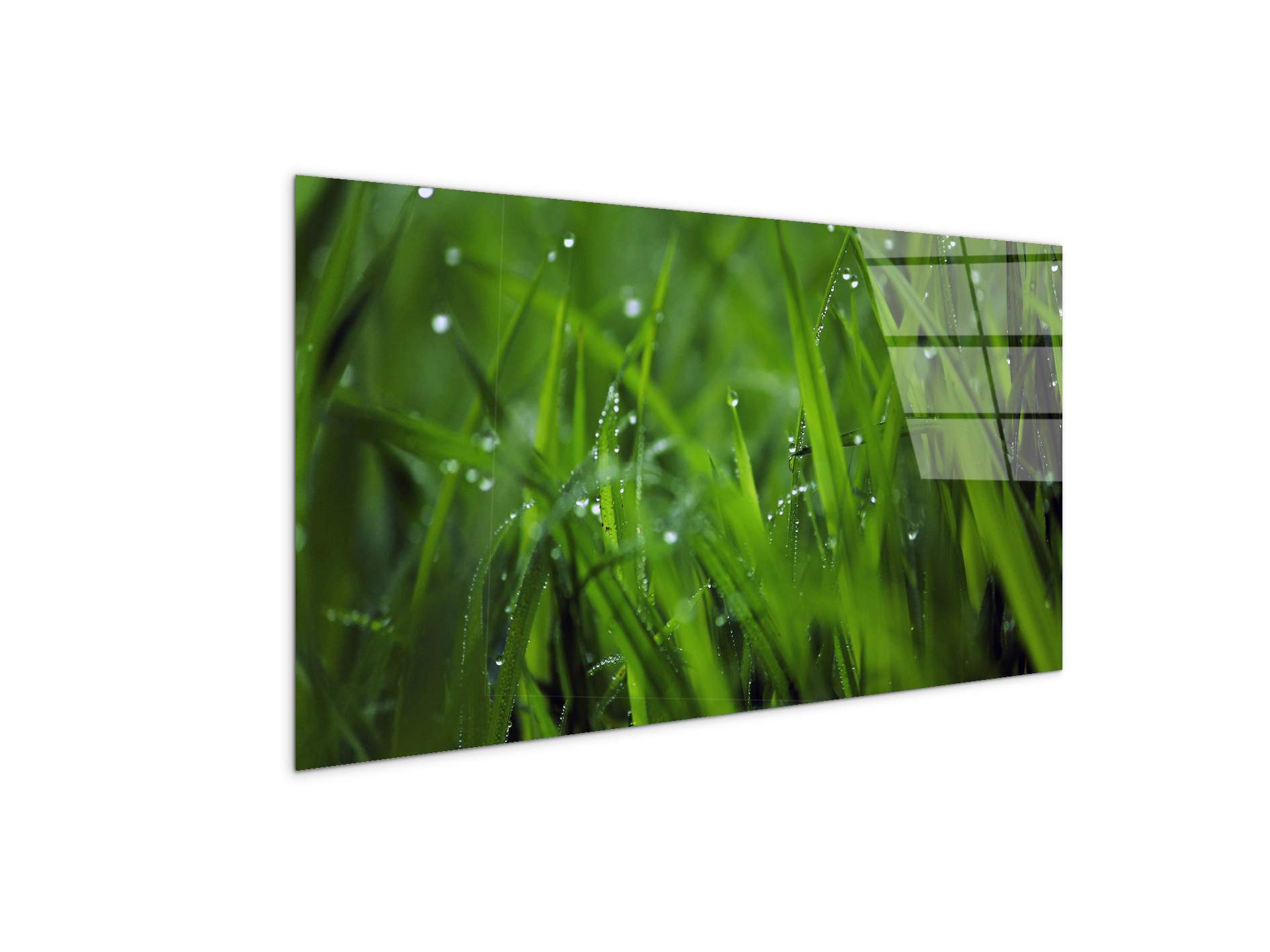 greenas92368-