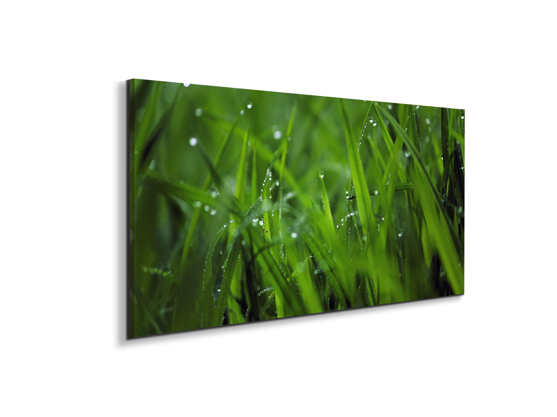 greenas92368-