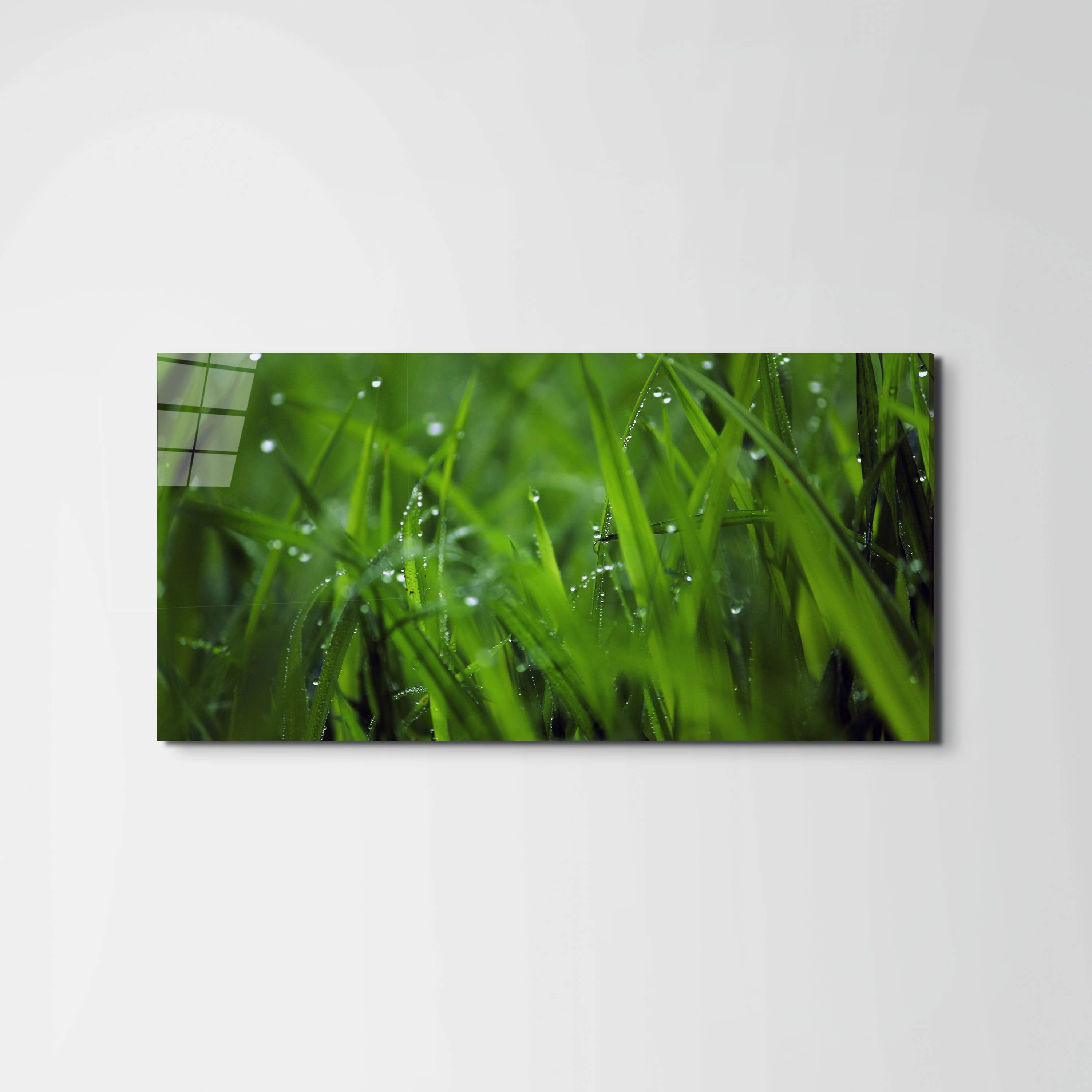 greenas92368-