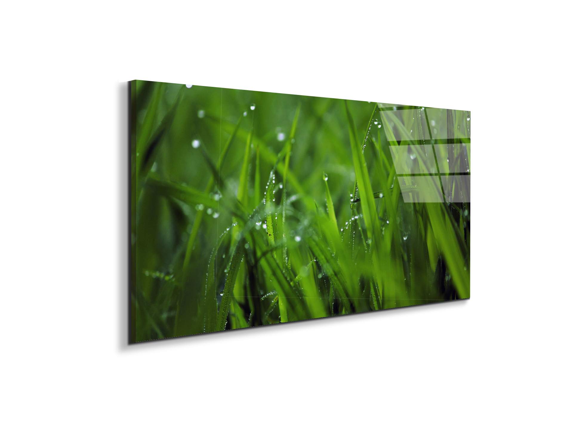 greenas92368-