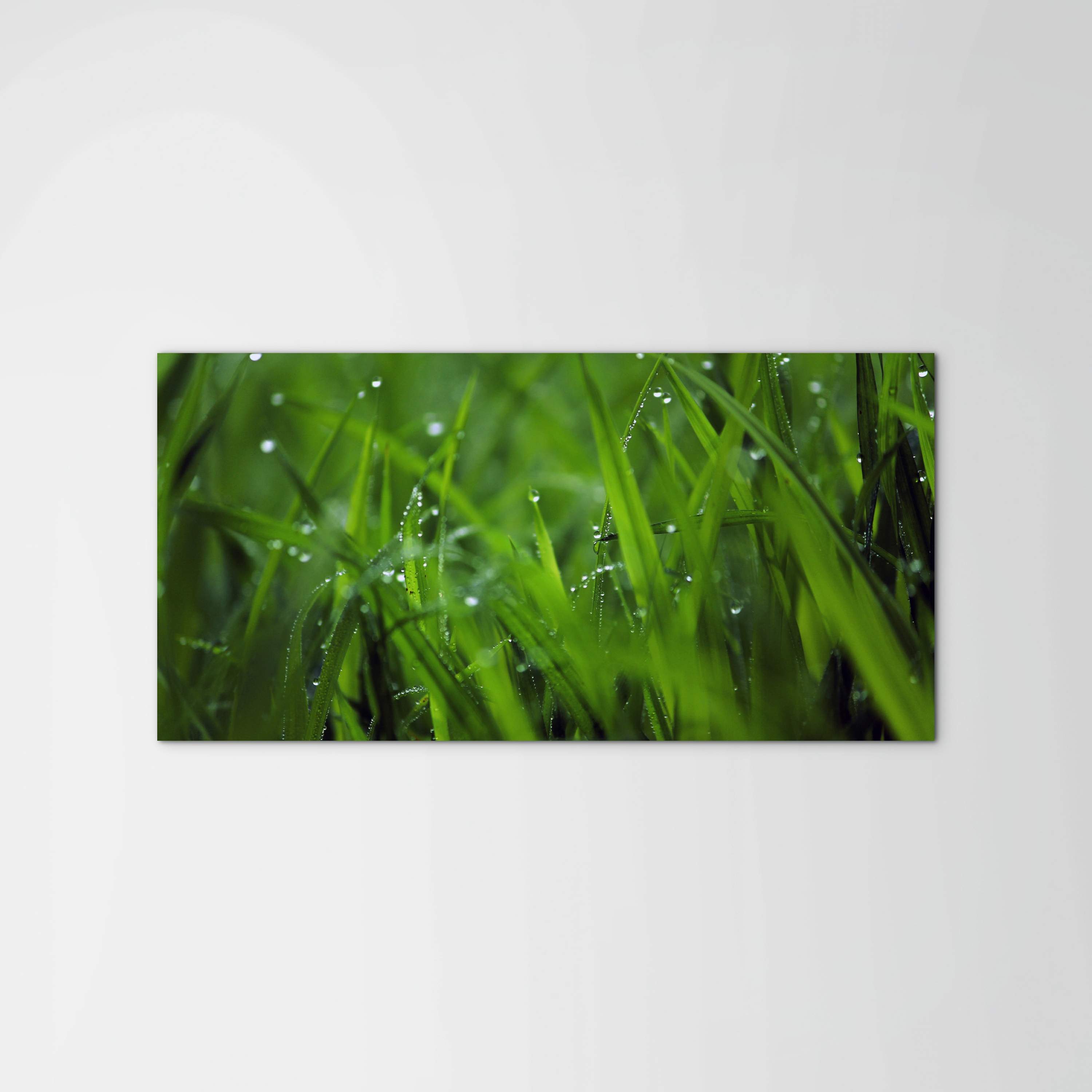 greenas92368-
