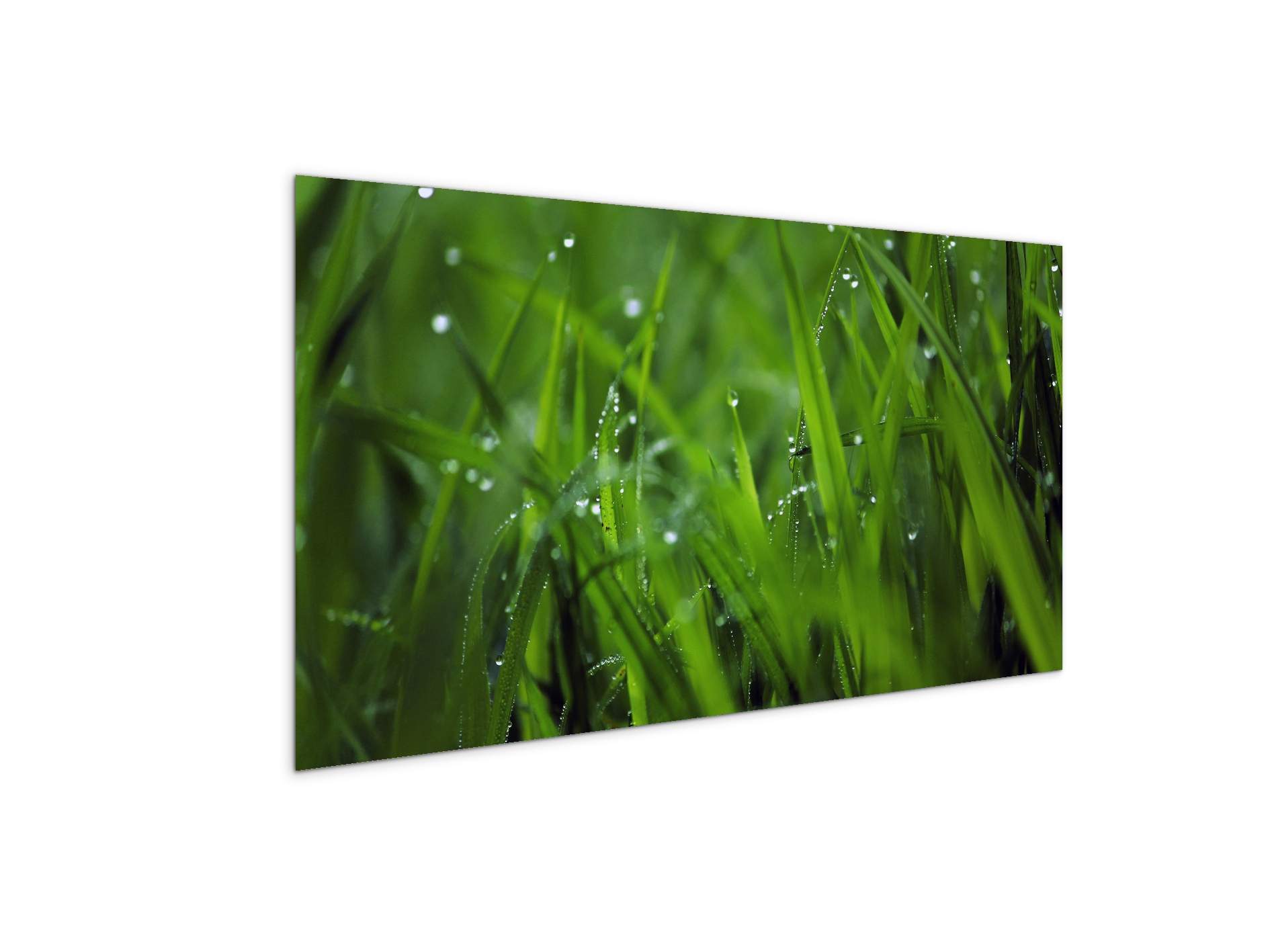 greenas92368-