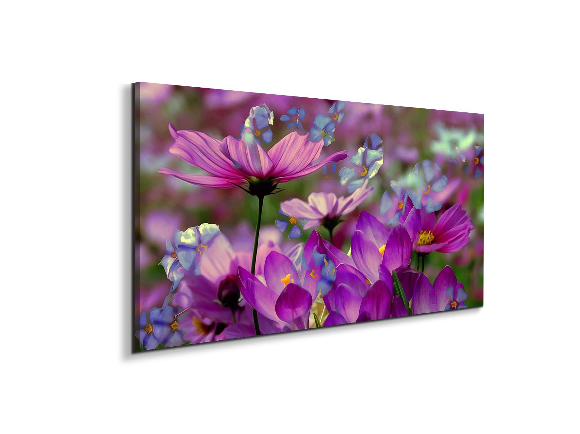 purpleas92369-