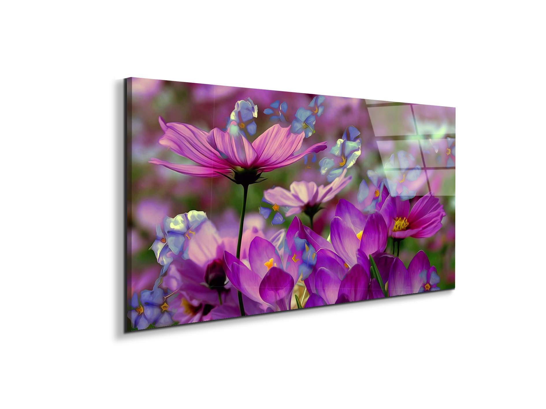 purpleas92369-