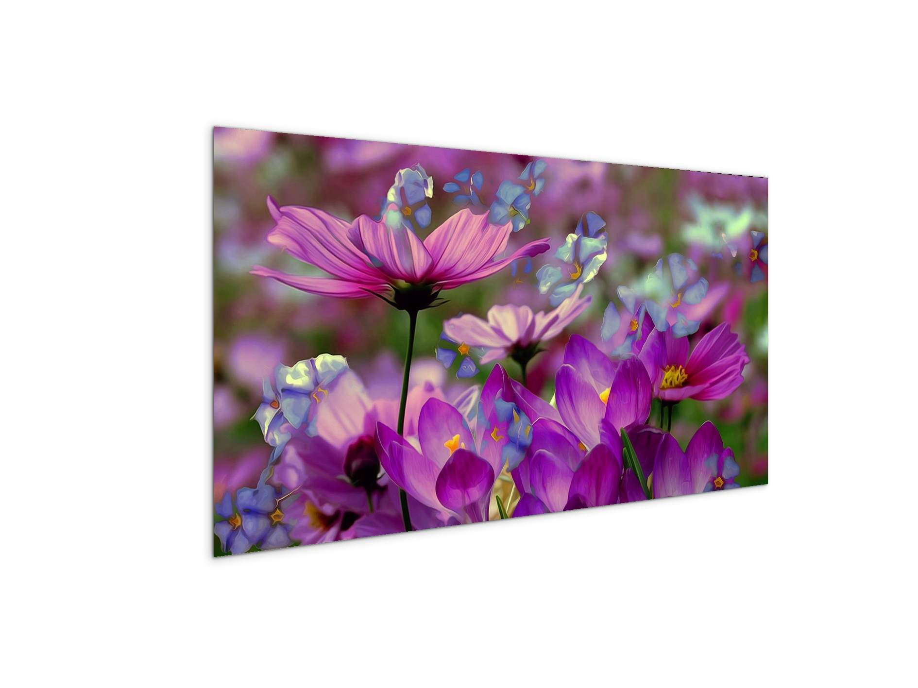 purpleas92369-