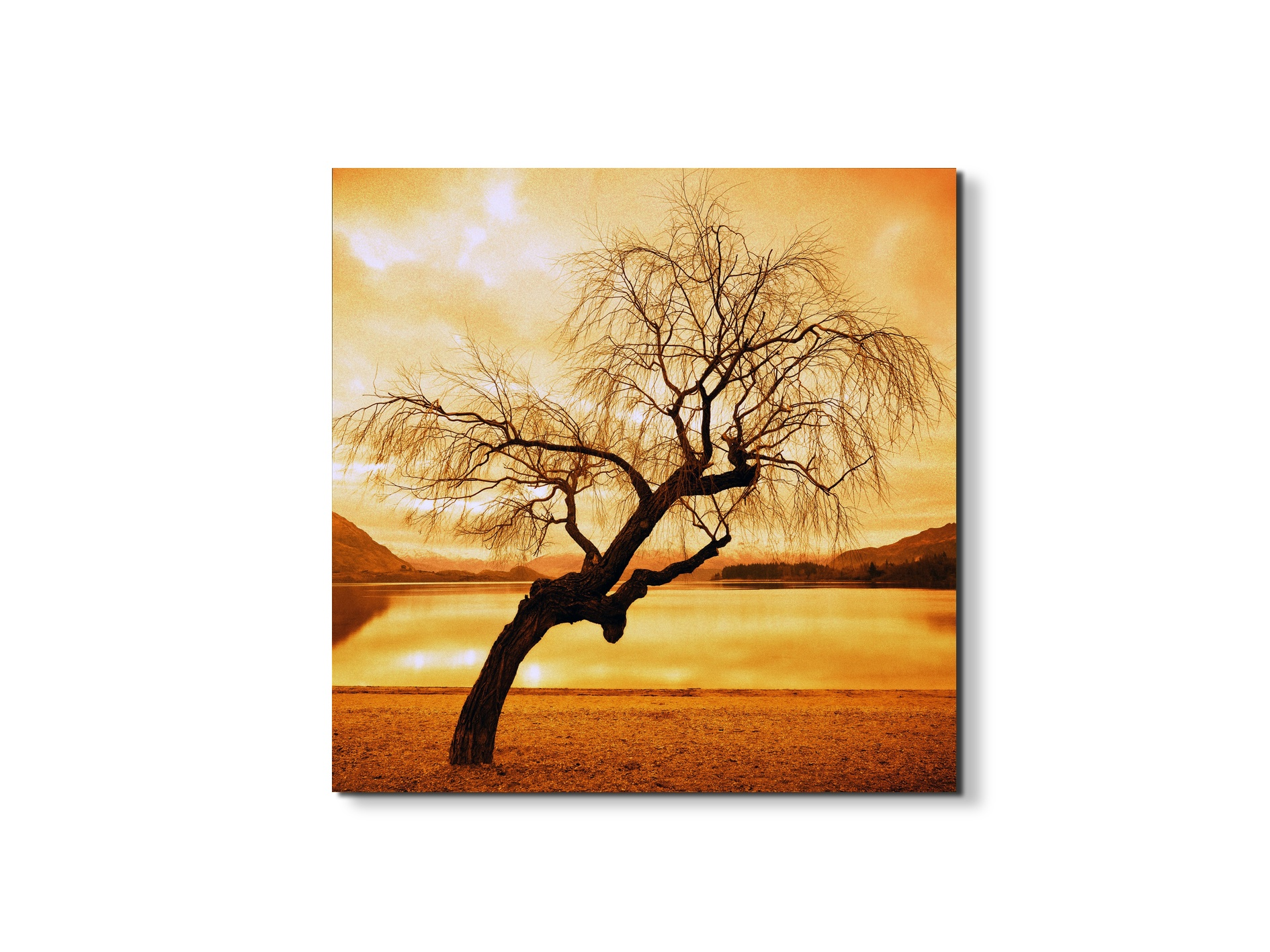 alberoas92383-#materiale_EarthArt Materic/dimensioni_58x58