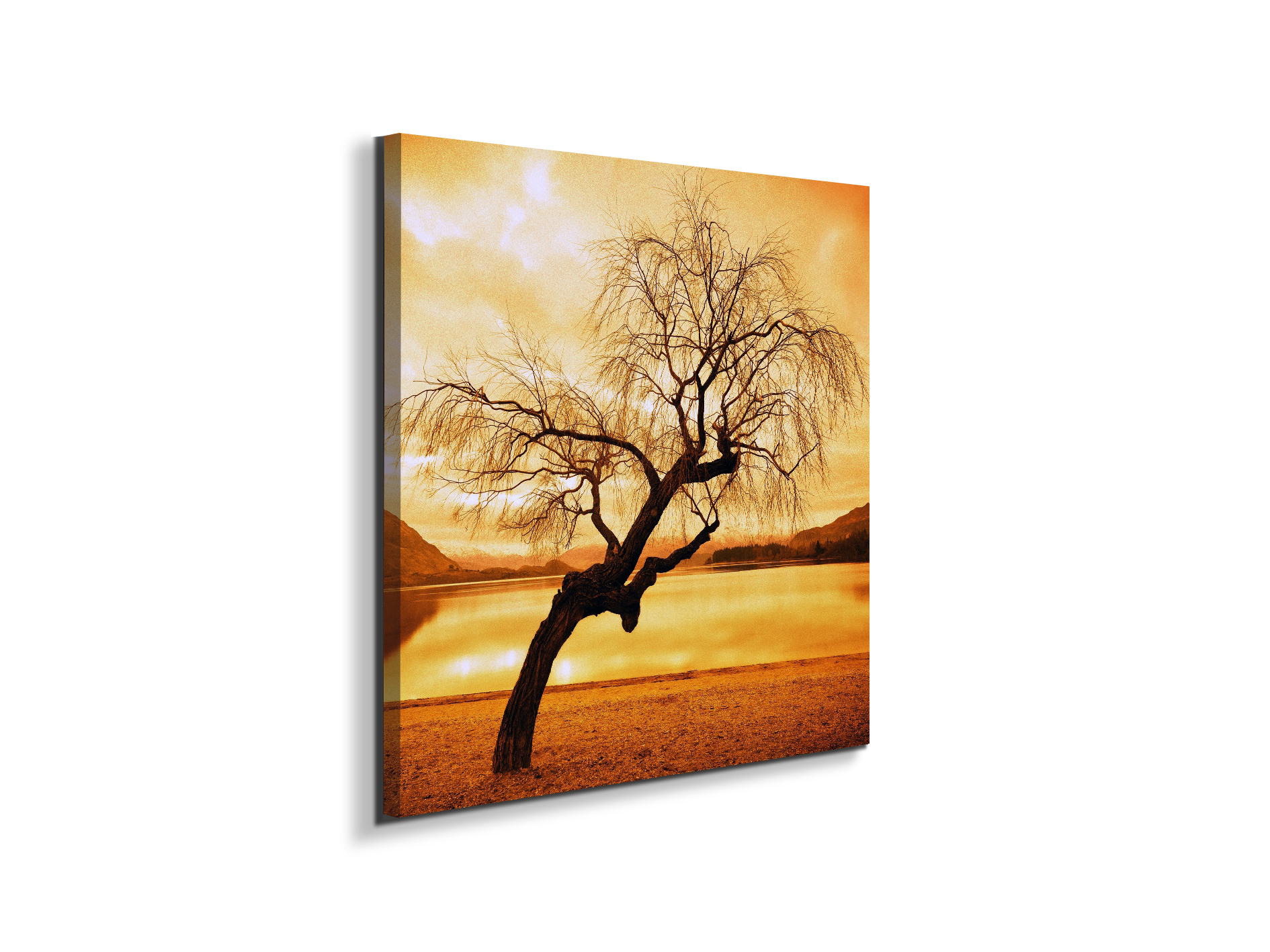 alberoas92383-#materiale_EarthArt Materic/dimensioni_58x58