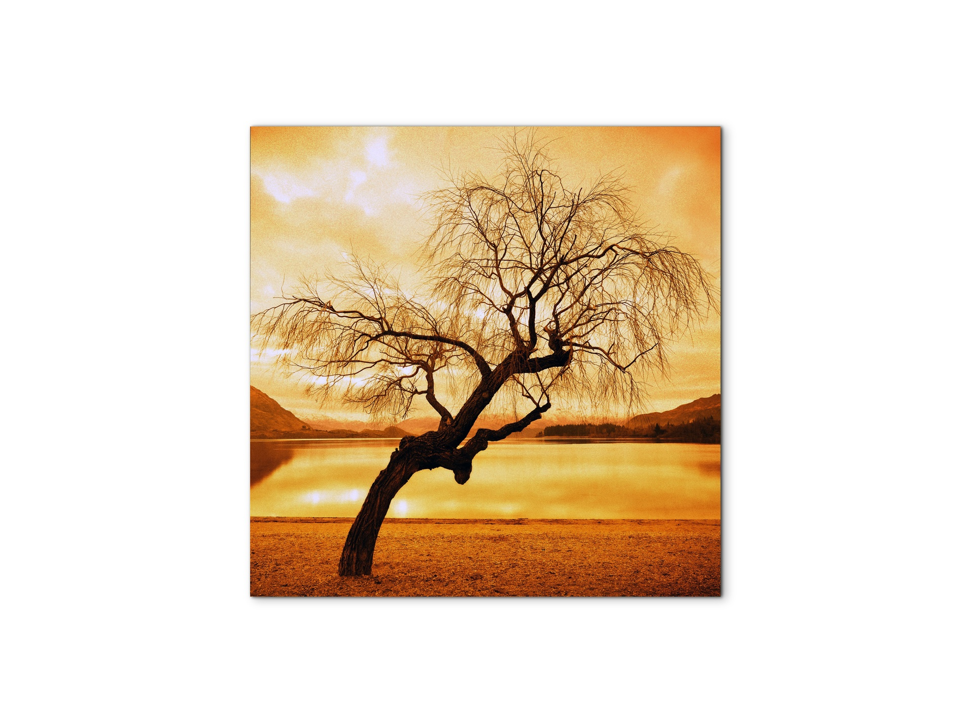 alberoas92383-#materiale_MetalArt Materic/dimensioni_58x58