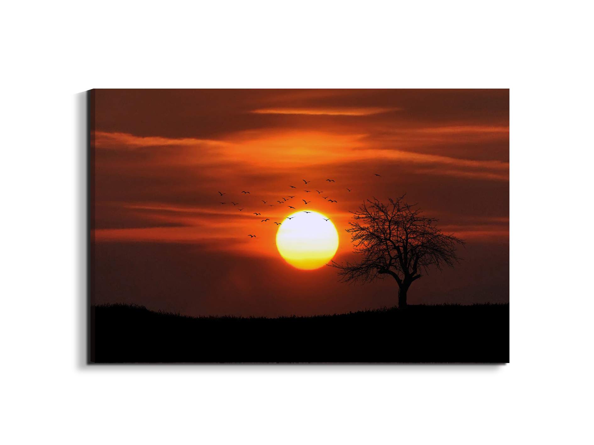 tree-in-the-sunas92447-#materiale_EarthArt Materic/dimensioni_79,5x53