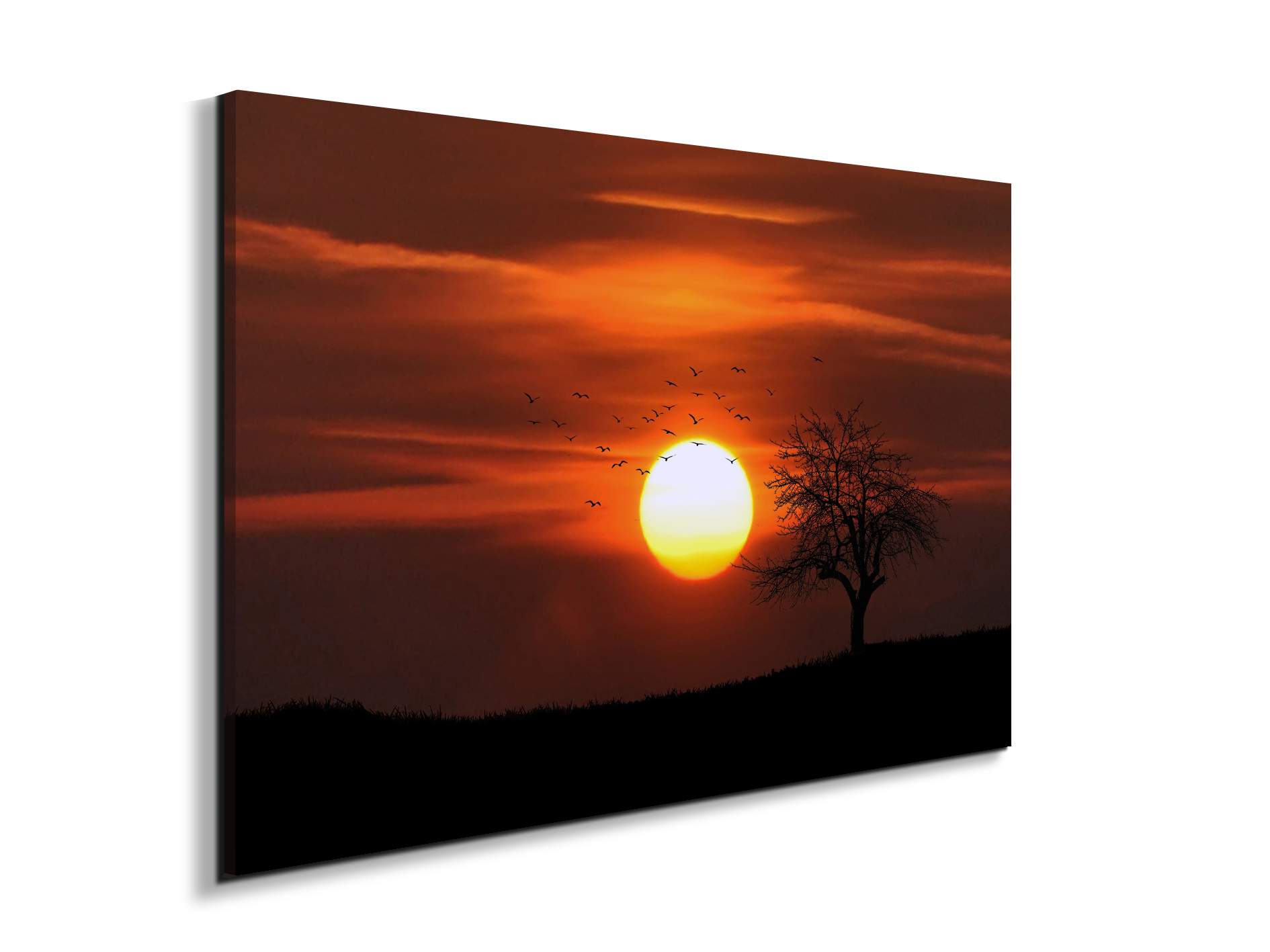 tree-in-the-sunas92447-#materiale_EarthArt Materic/dimensioni_79,5x53