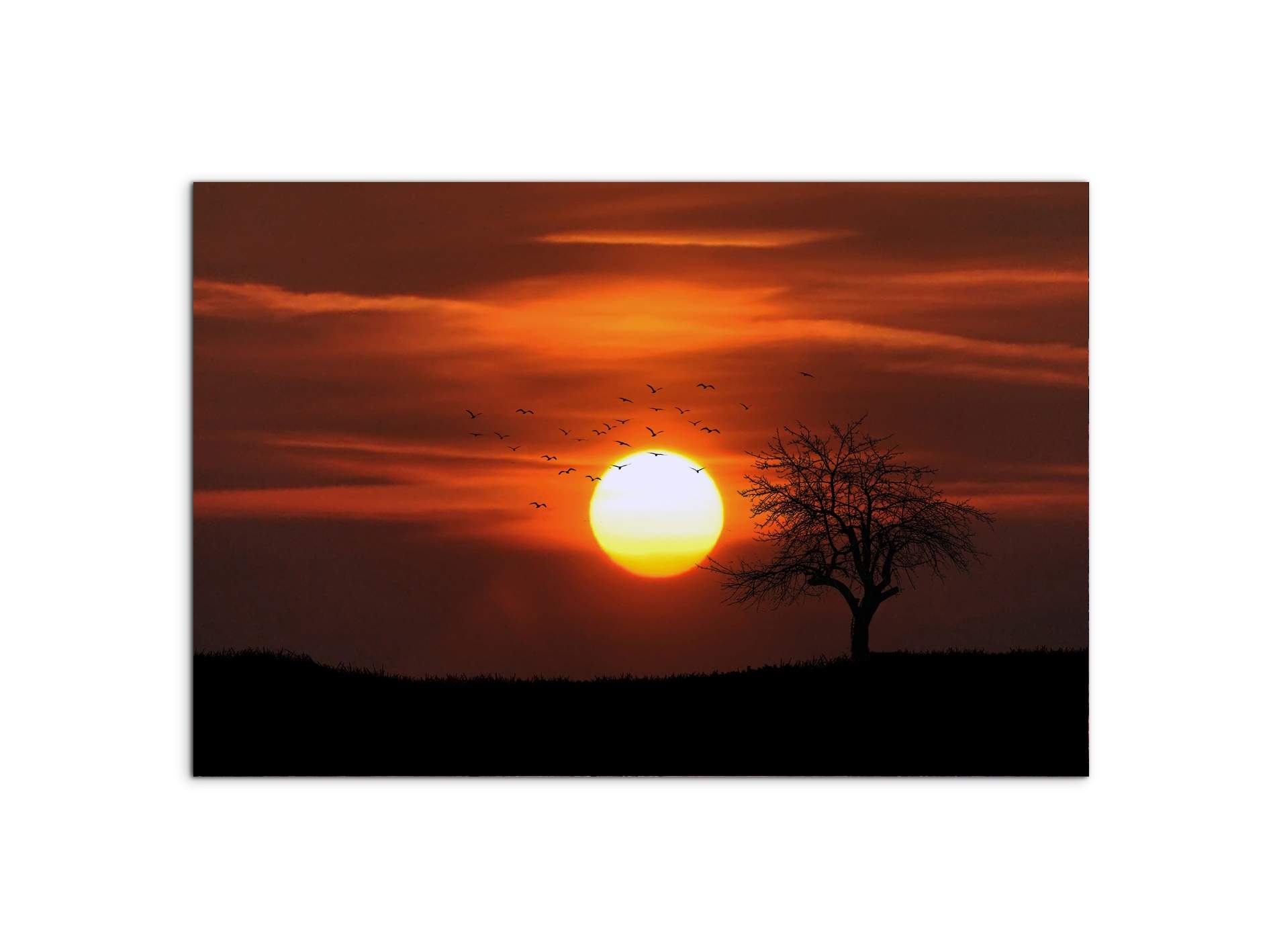 tree-in-the-sunas92447-#materiale_MetalArt Materic/dimensioni_79,5x53