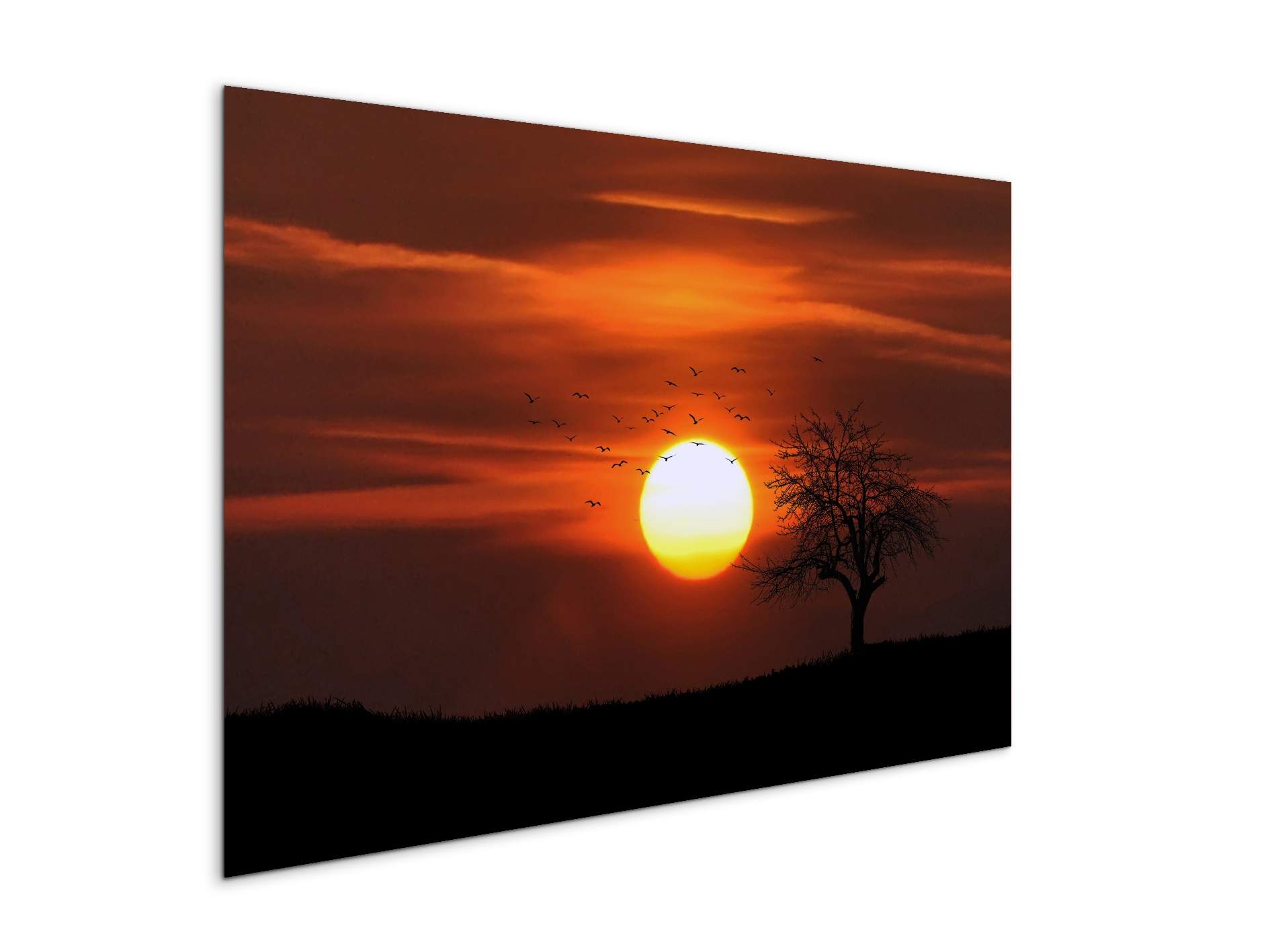 tree-in-the-sunas92447-#materiale_MetalArt Materic/dimensioni_79,5x53