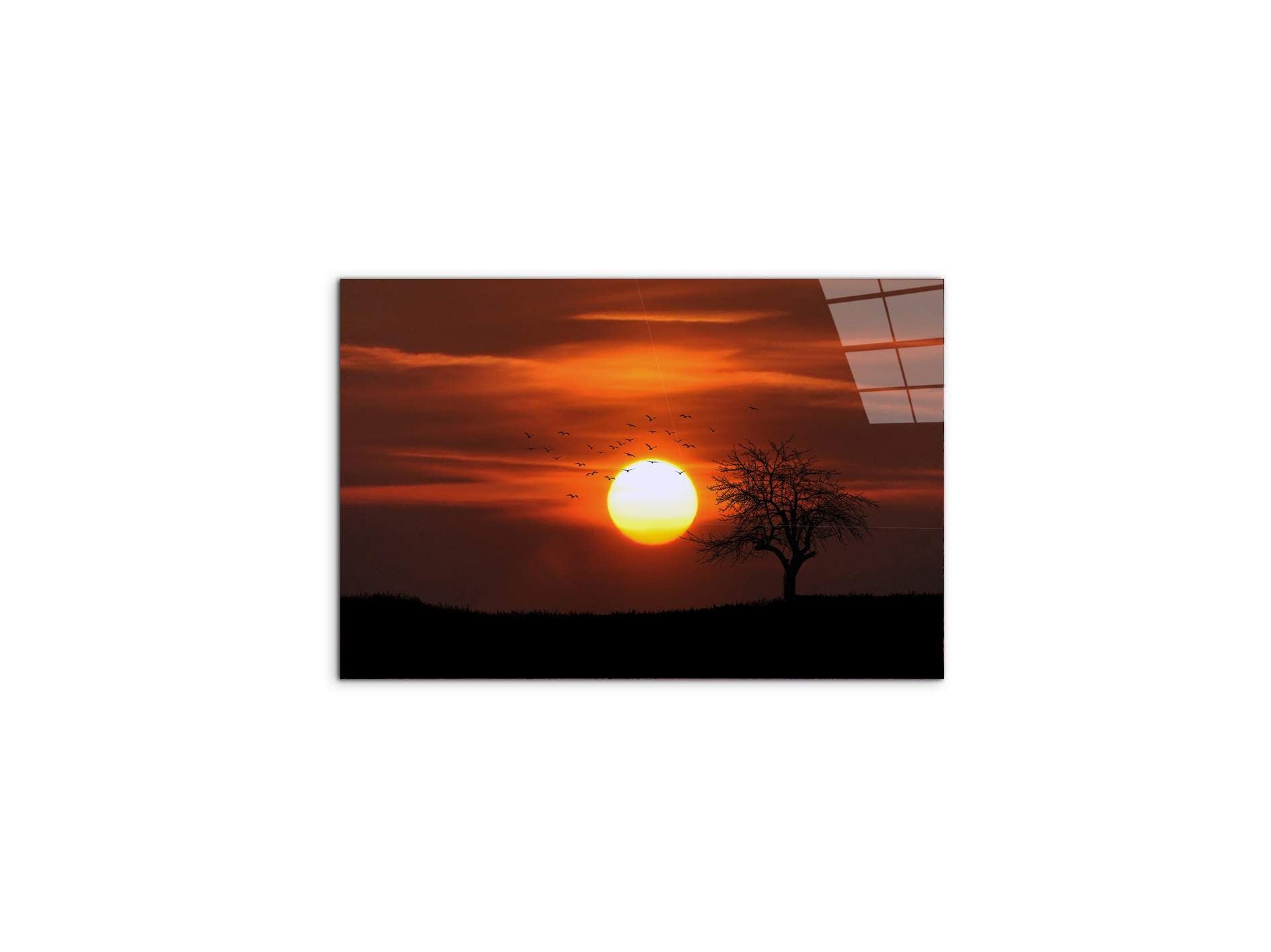 tree-in-the-sunas92447-#materiale_CrystalArt/dimensioni_50x33,33