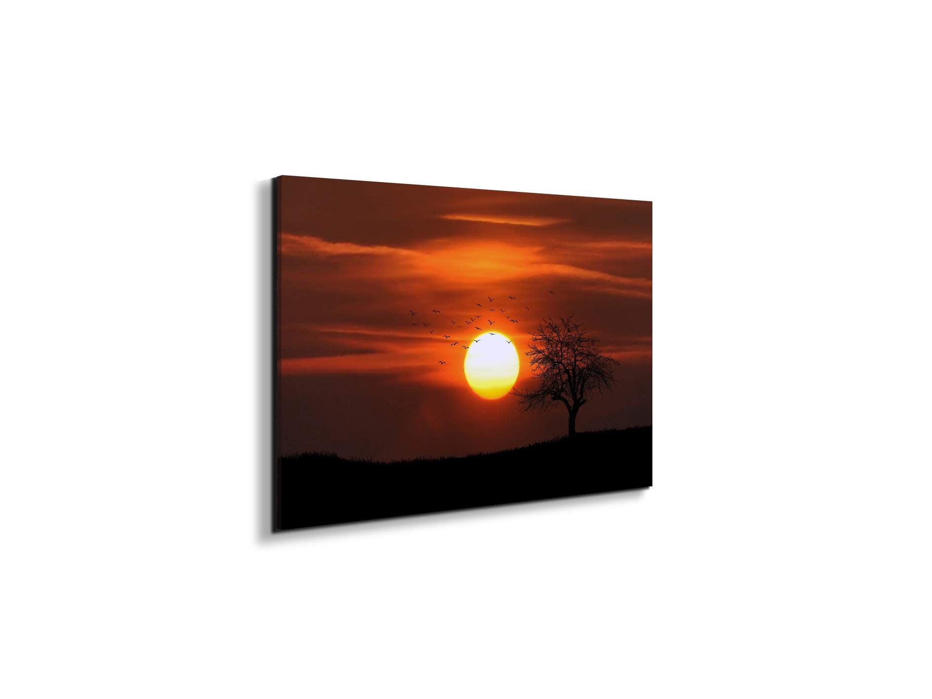 tree-in-the-sunas92447-#materiale_EarthArt Materic/dimensioni_50x33,33