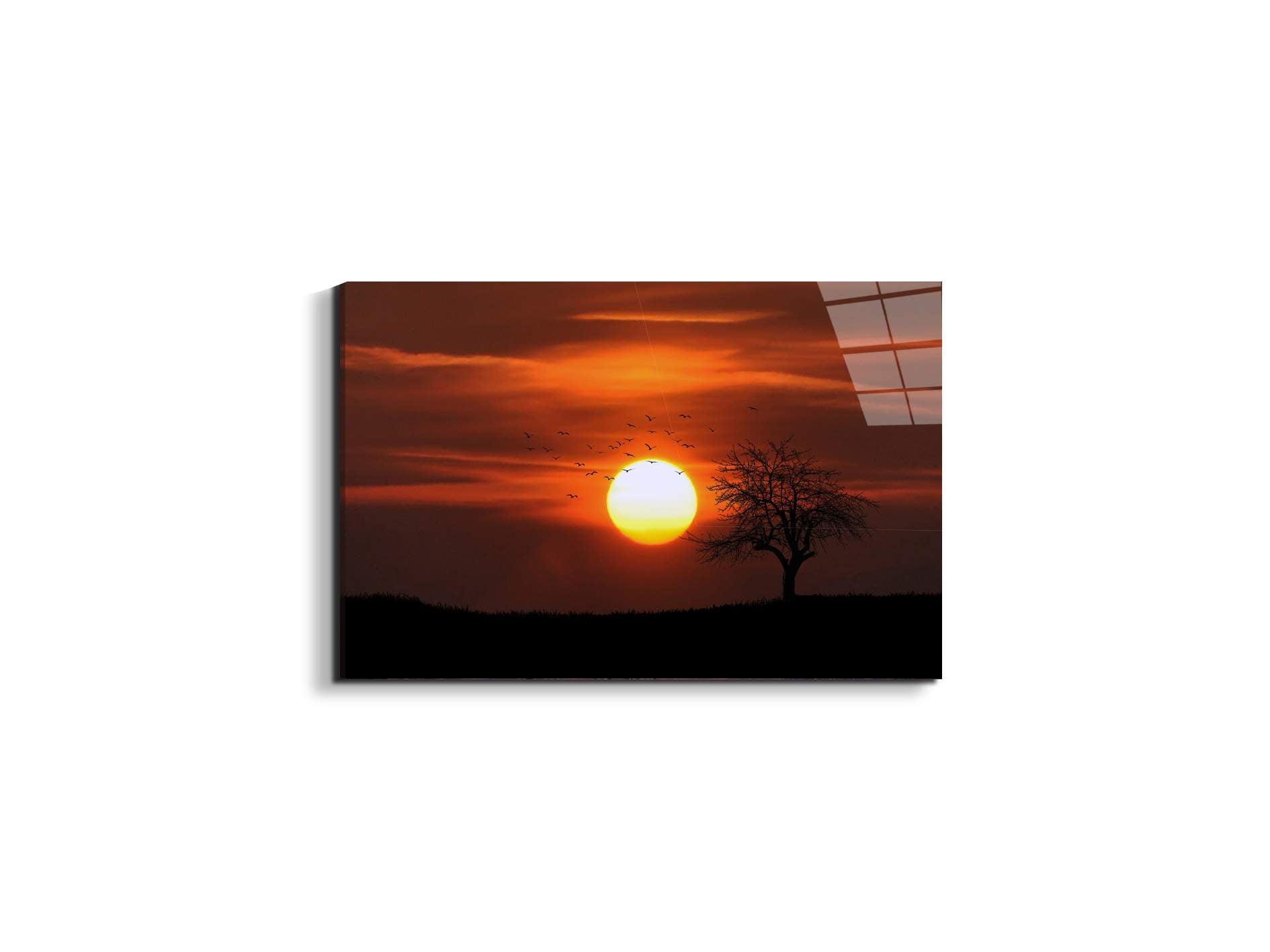 tree-in-the-sunas92447-#materiale_EarthArt Total Gloss/dimensioni_50x33,33