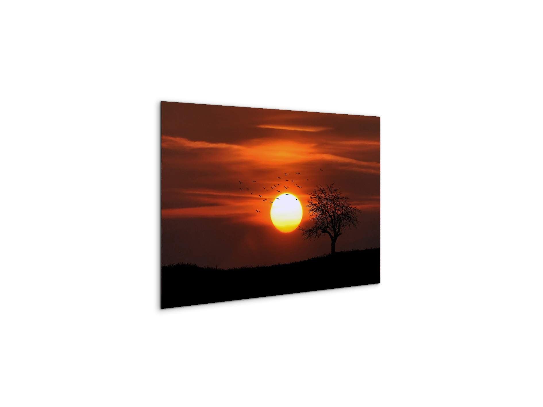 tree-in-the-sunas92447-#materiale_MetalArt Materic/dimensioni_50x33,33