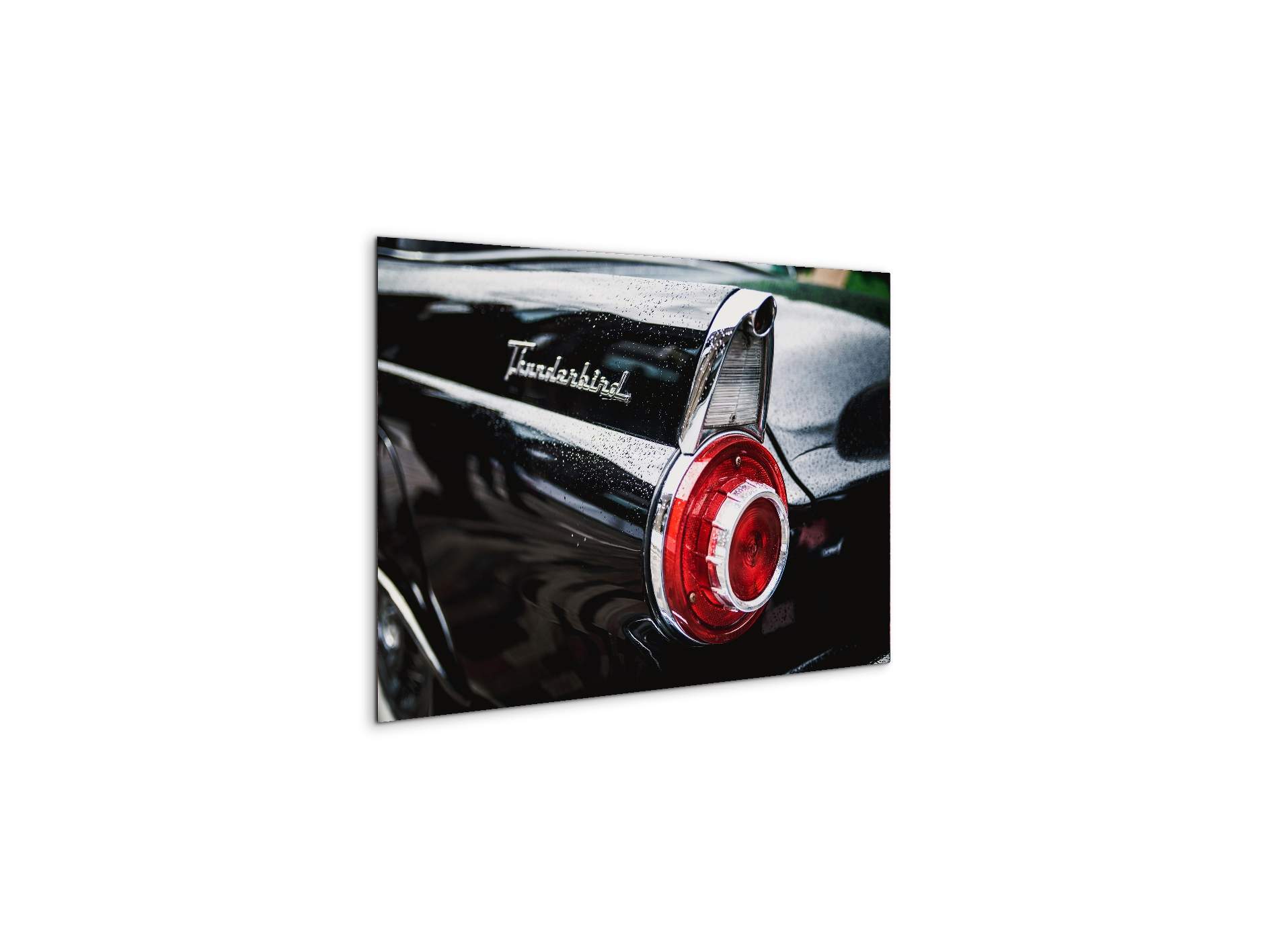 thunderbirdas92460-#materiale_MetalArt Materic/dimensioni_50x33,33