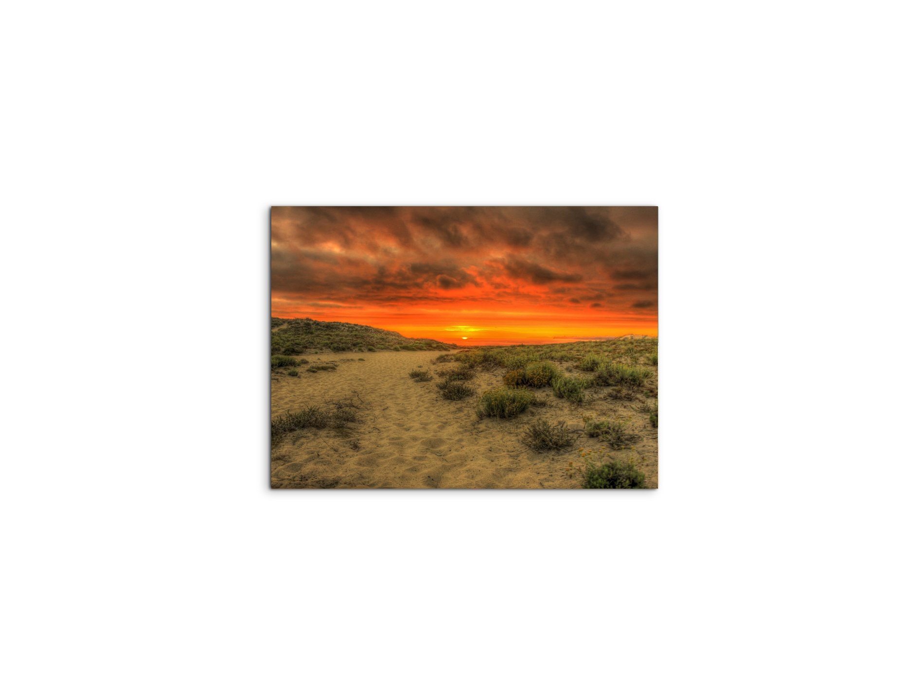 tramonto-sulla-spiaggiaas92461-#materiale_MetalArt Materic/dimensioni_50x37,50