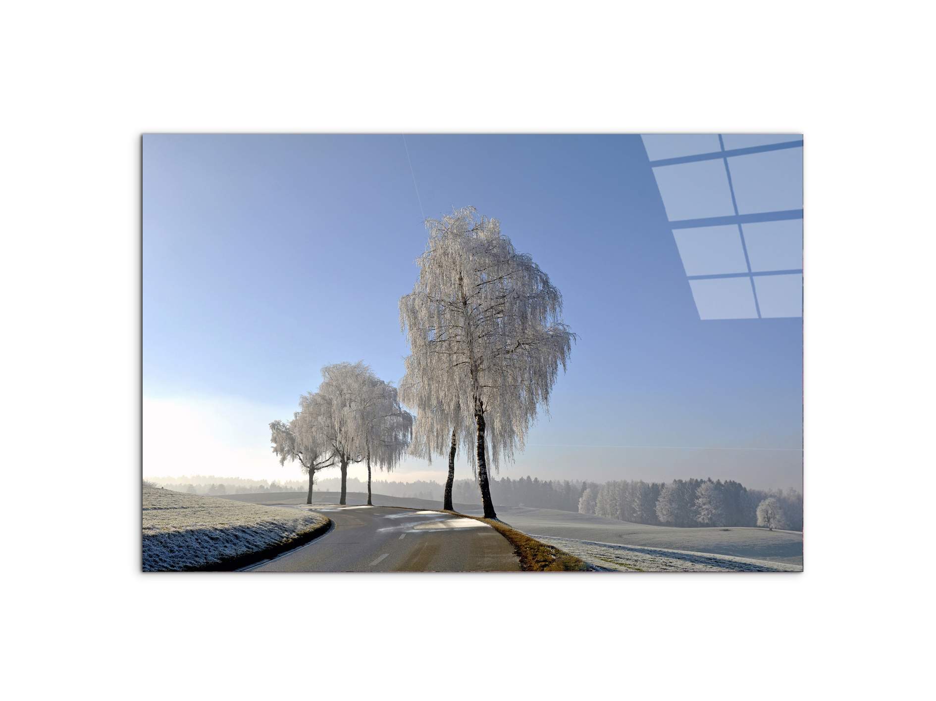 wintryas92666-