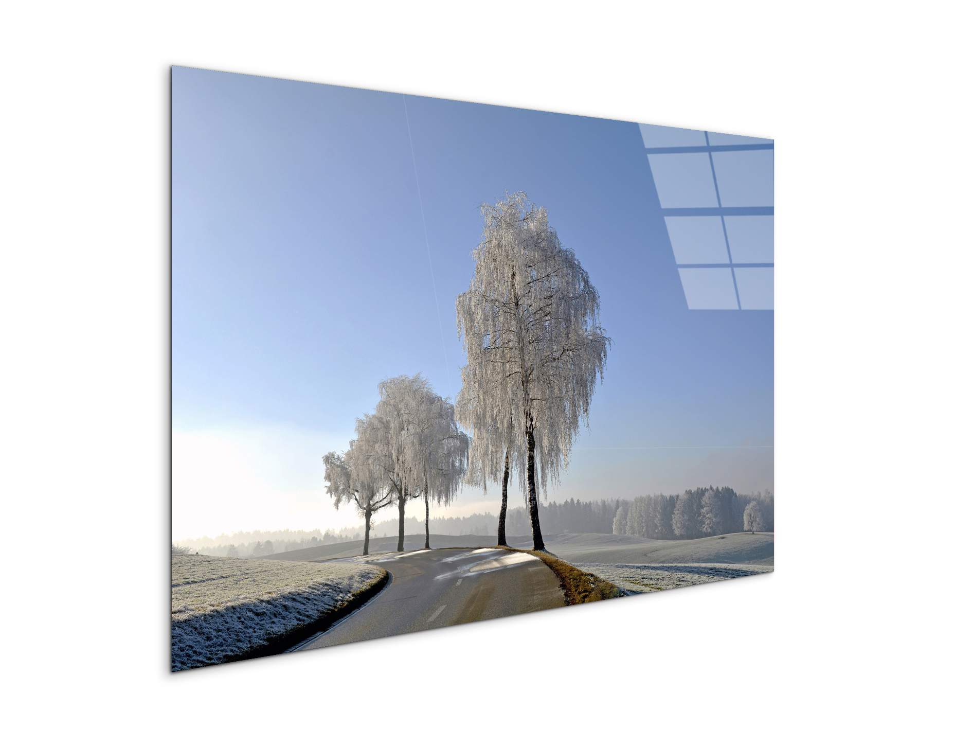 wintryas92666-