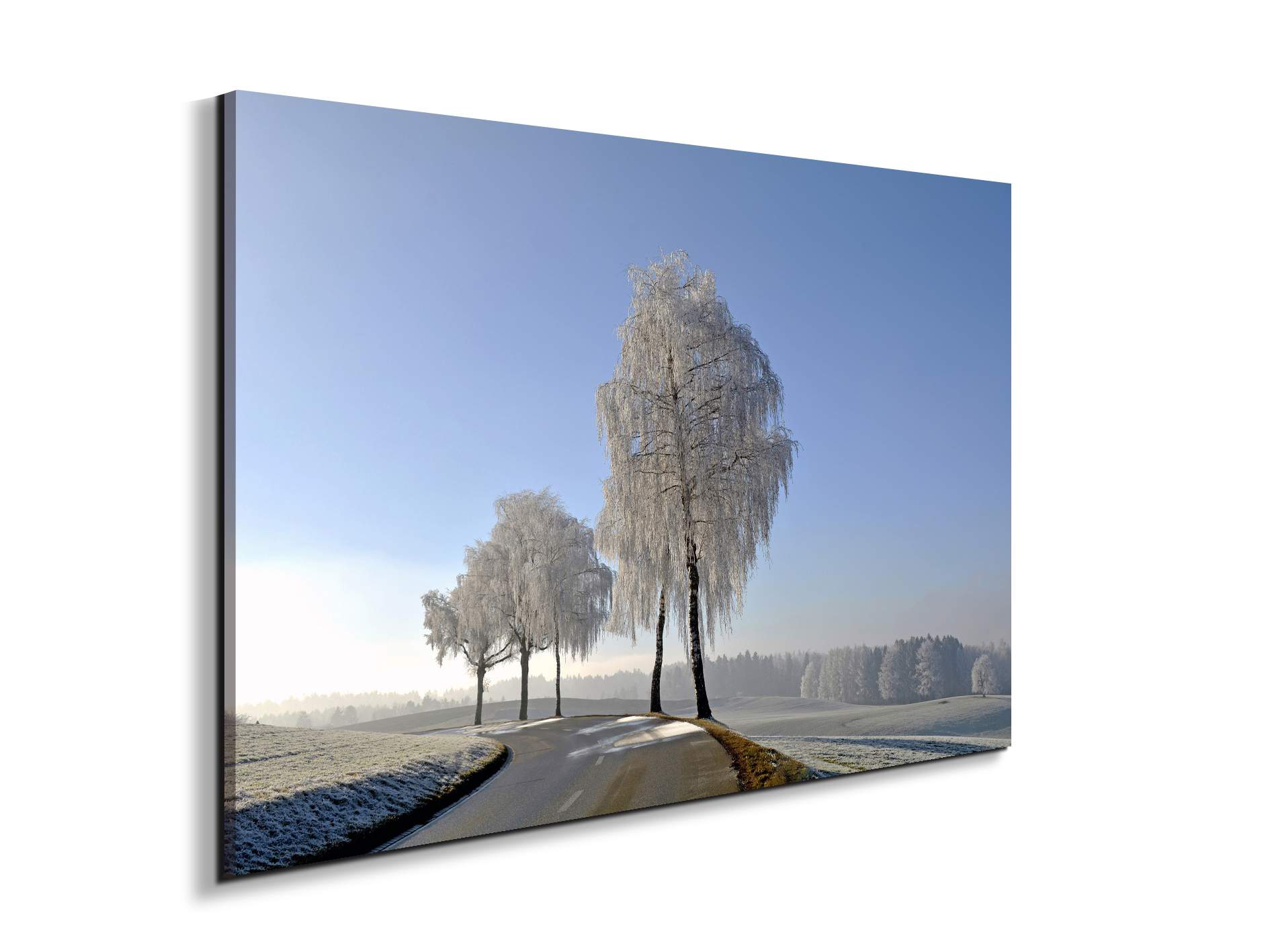 wintryas92666-