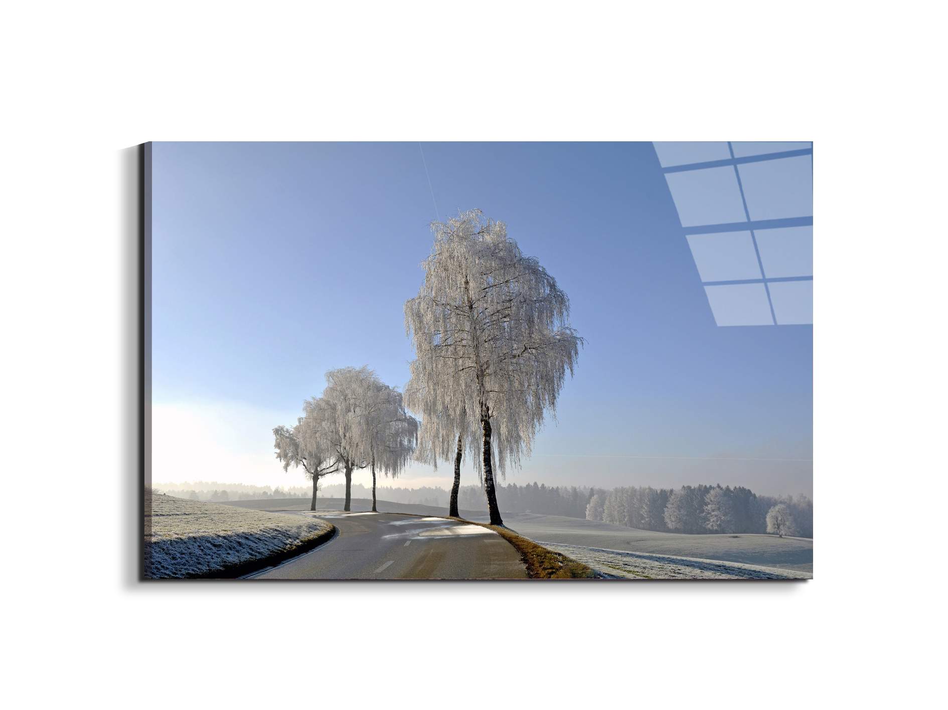 wintryas92666-