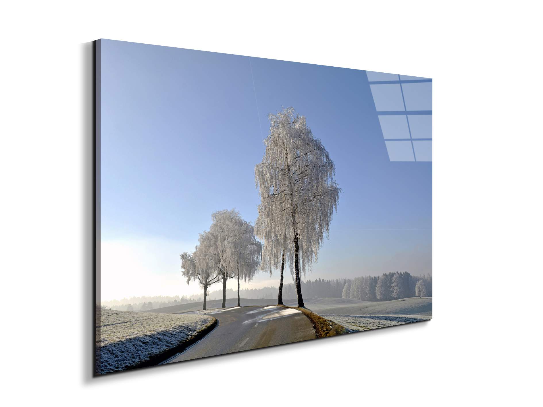 wintryas92666-