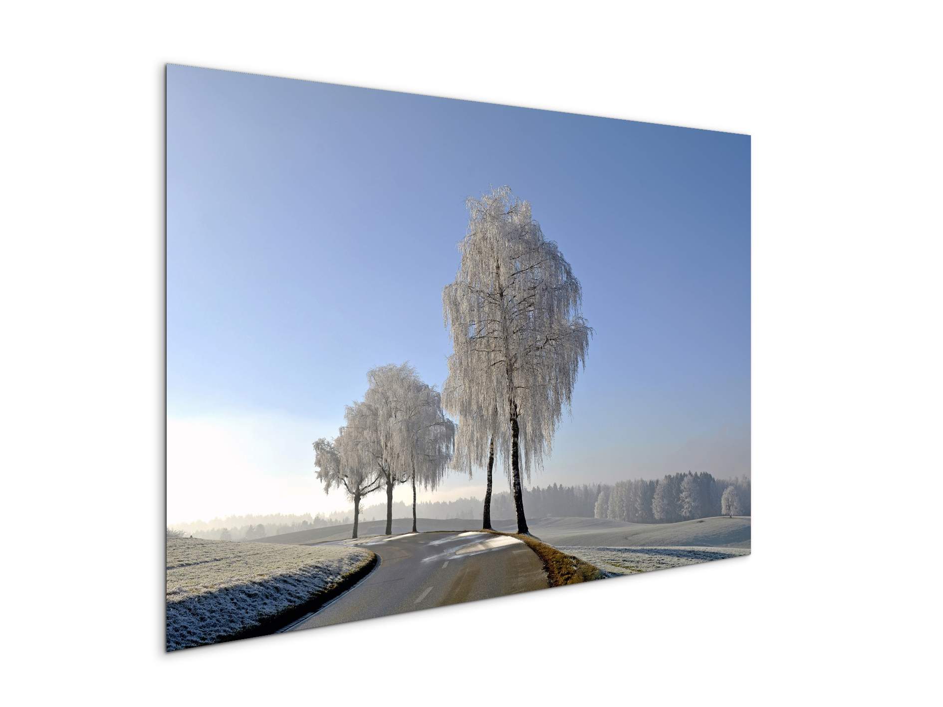 wintryas92666-