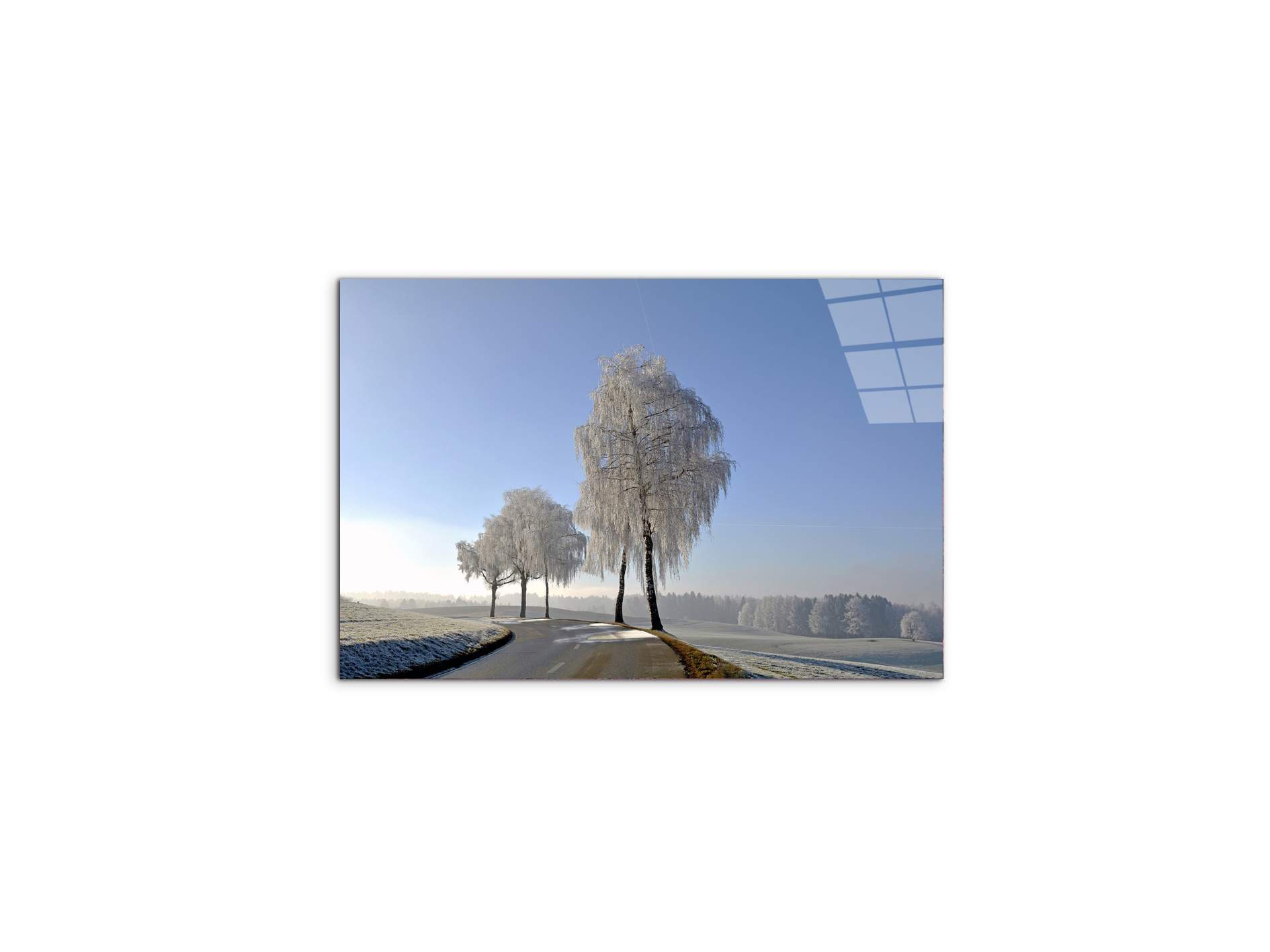 wintryas92666-