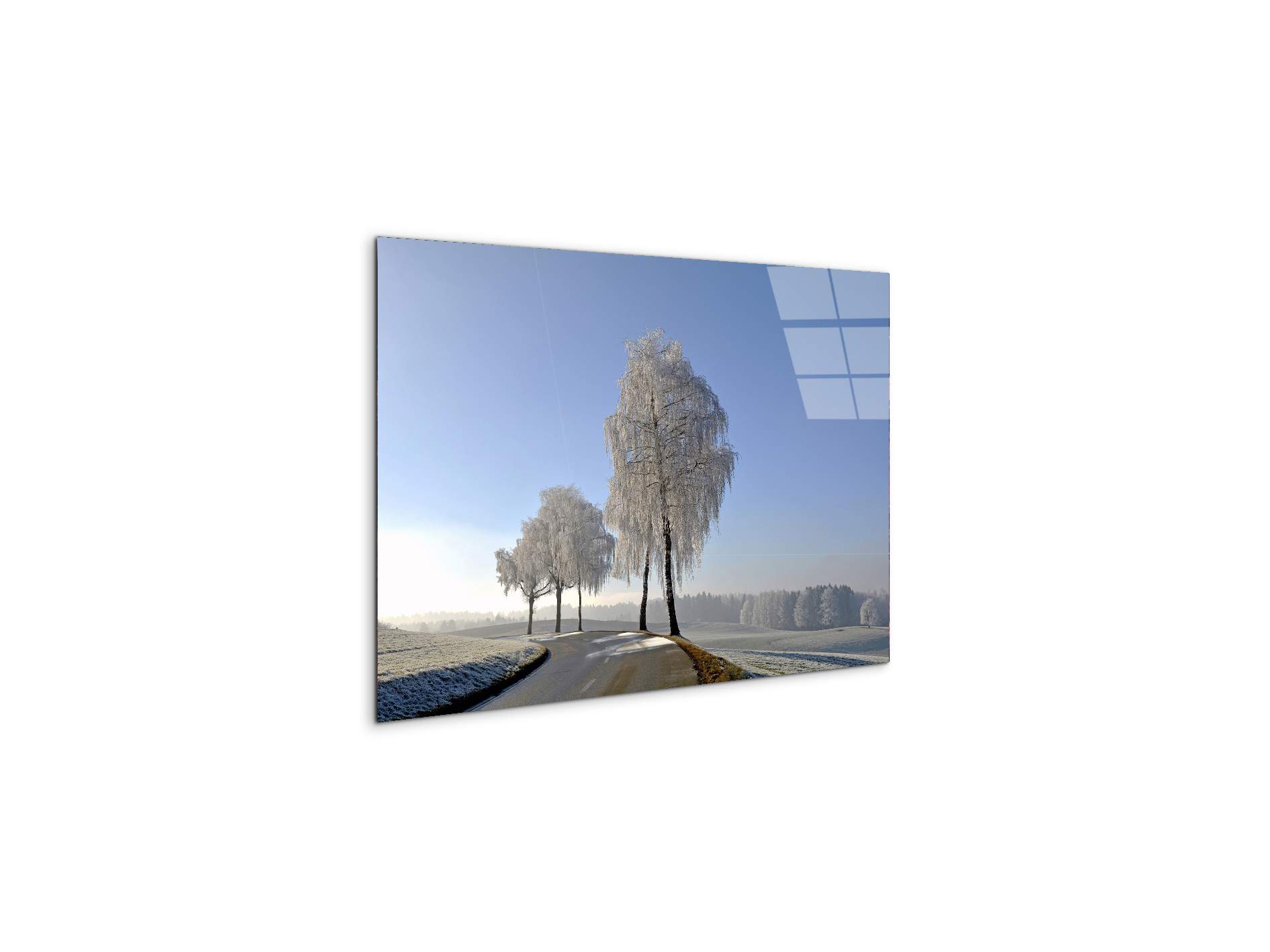 wintryas92666-