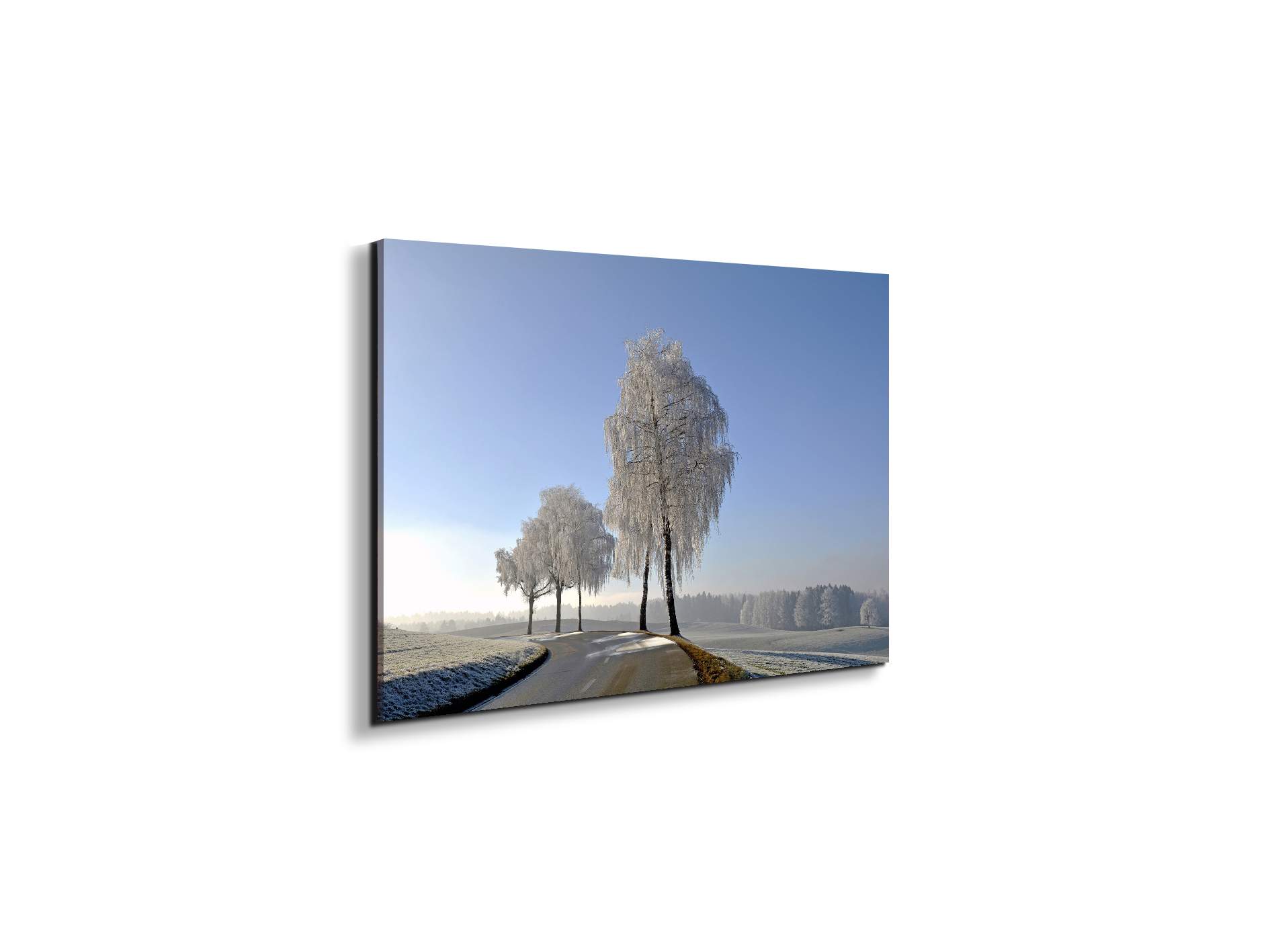 wintryas92666-