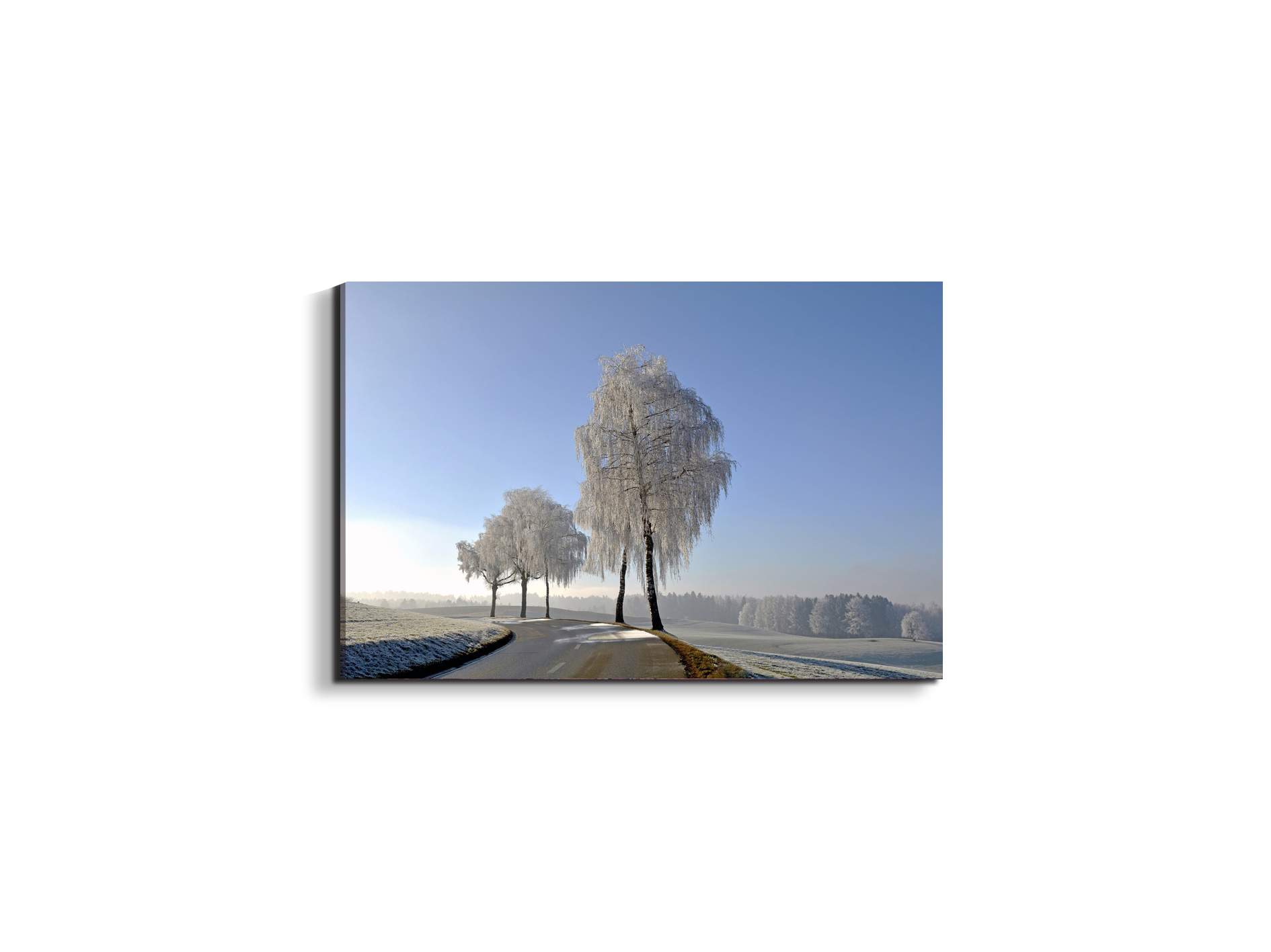wintryas92666-