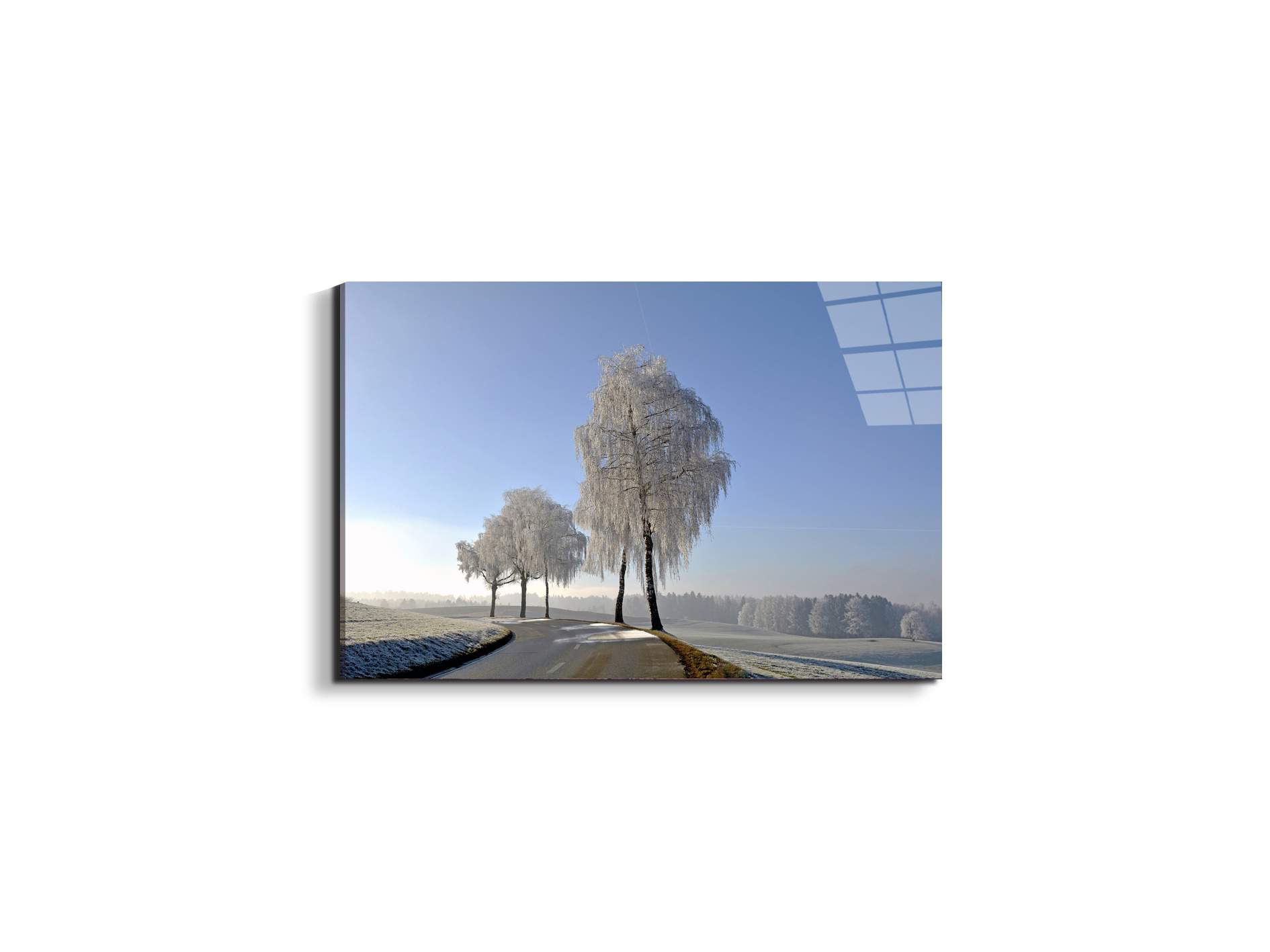 wintryas92666-