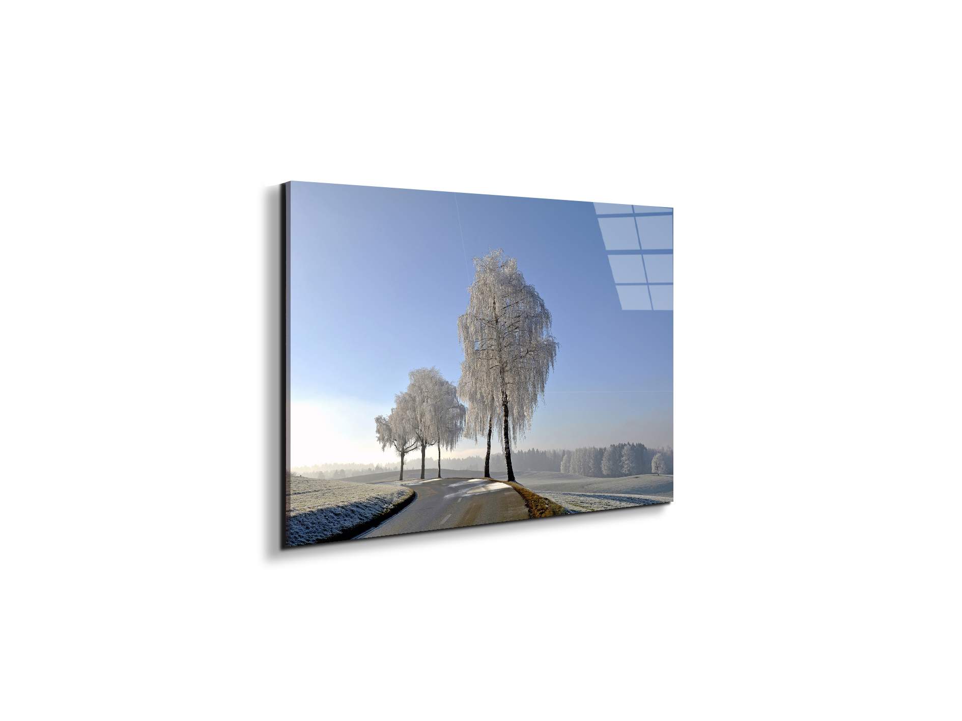 wintryas92666-