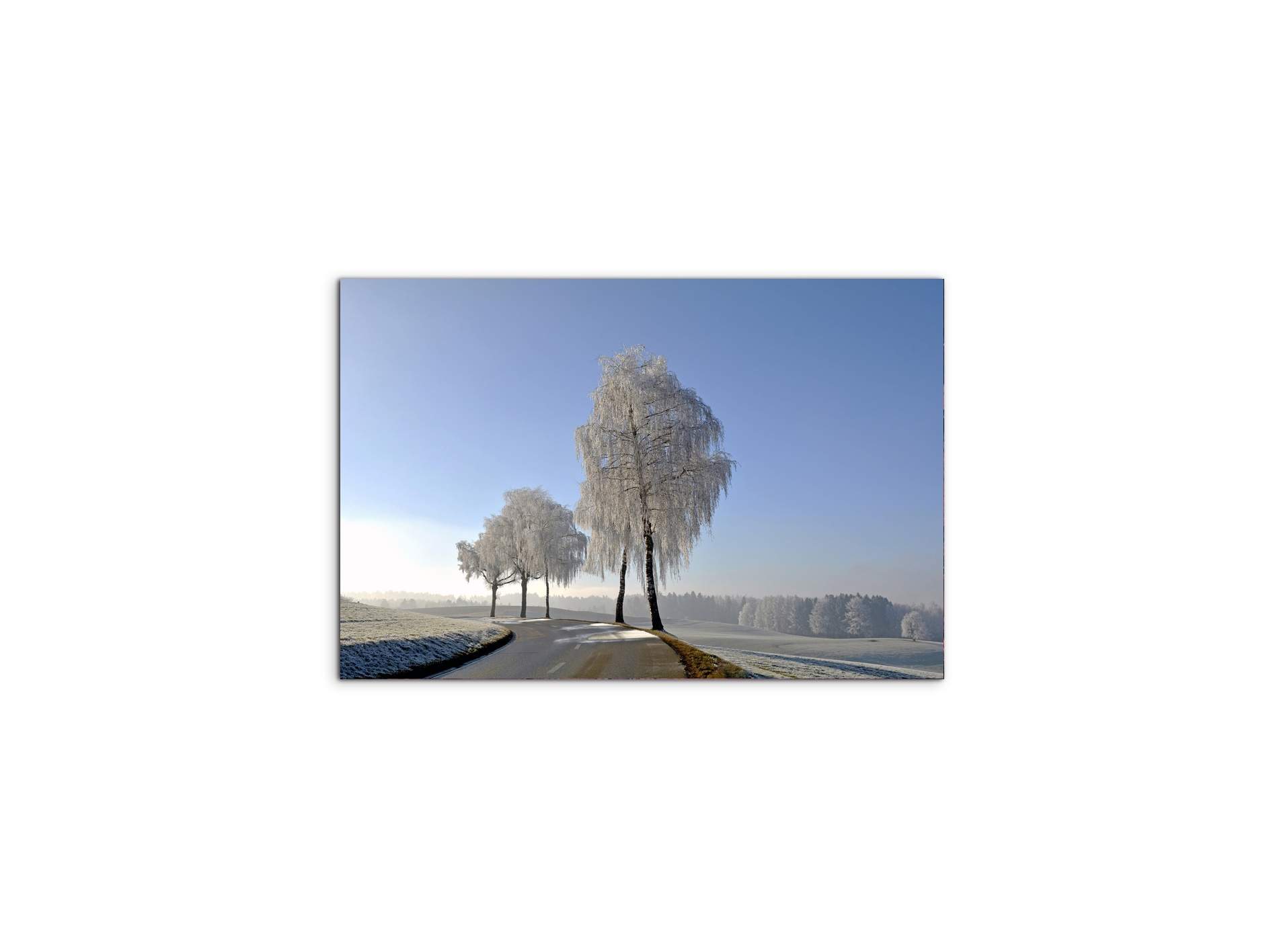 wintryas92666-