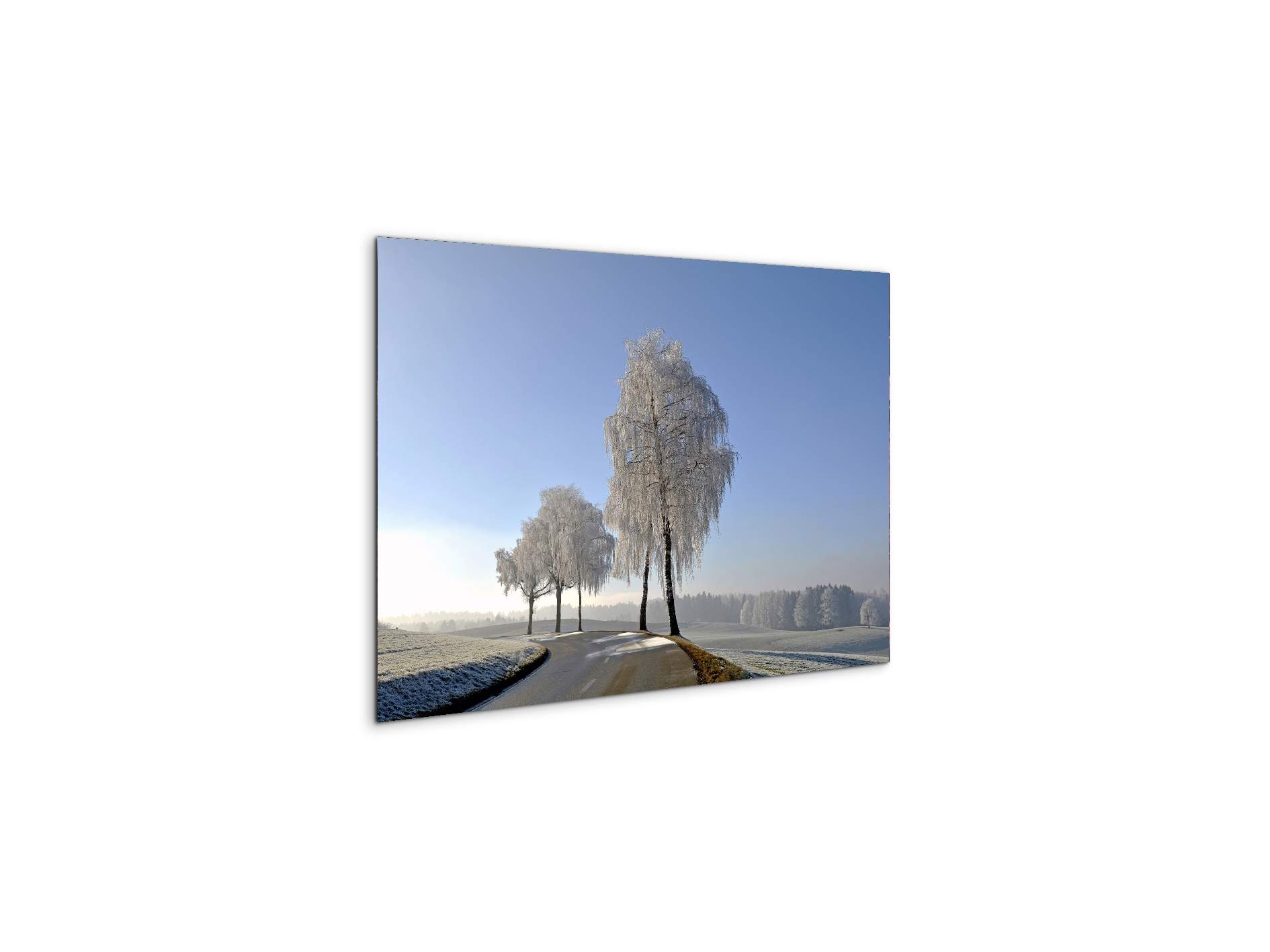 wintryas92666-