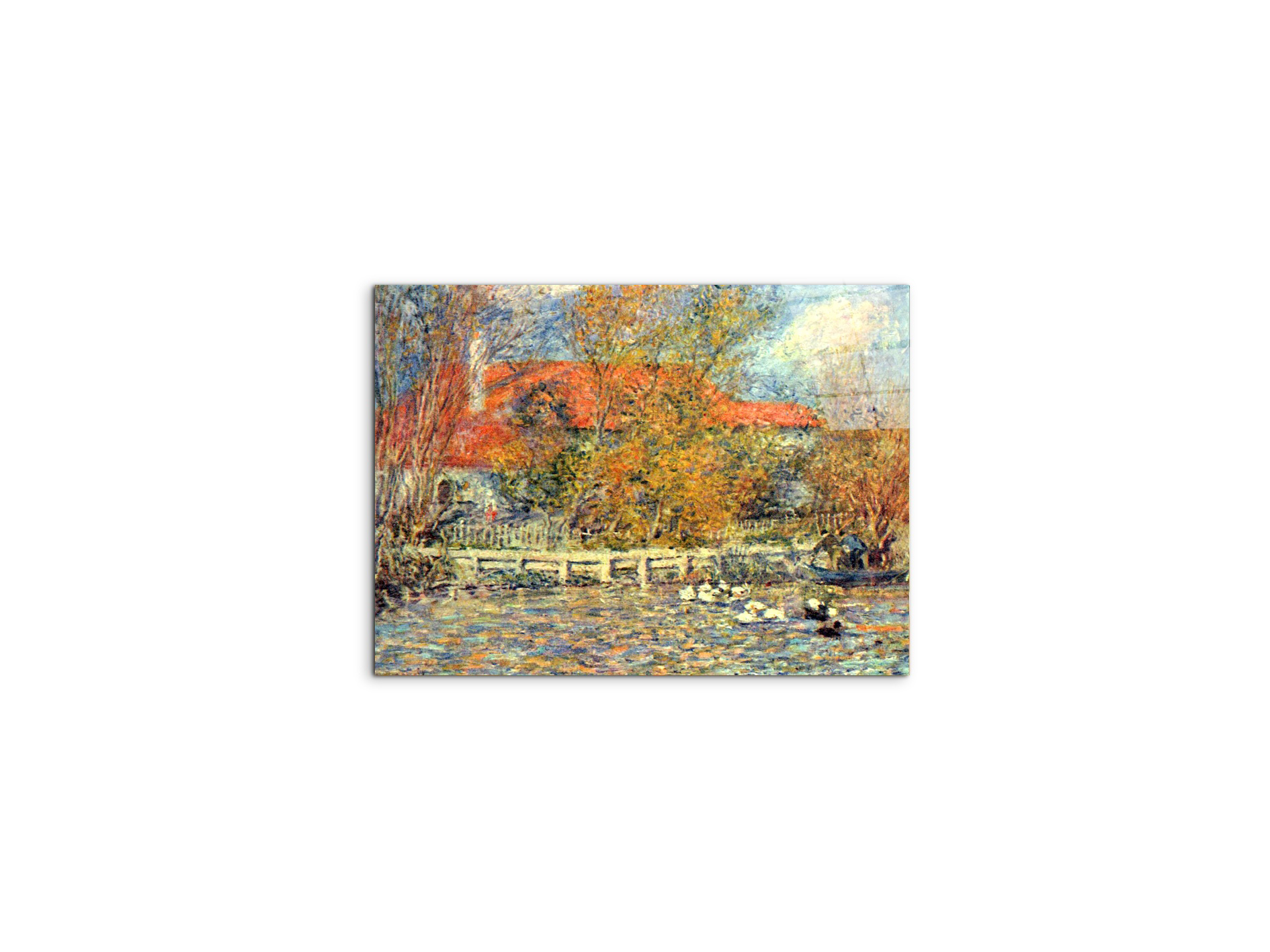 duck-pondas92725-#materiale_CrystalArt/dimensioni_50x37,50
