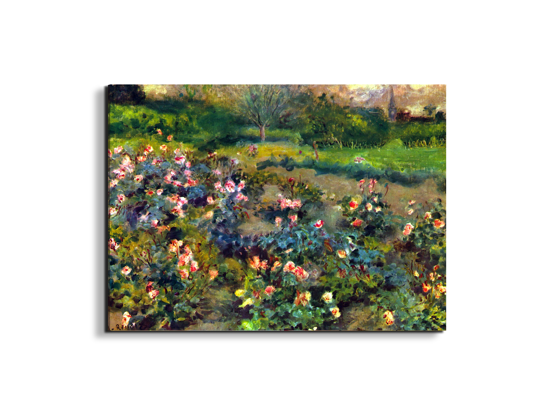 rose-groveas92793-