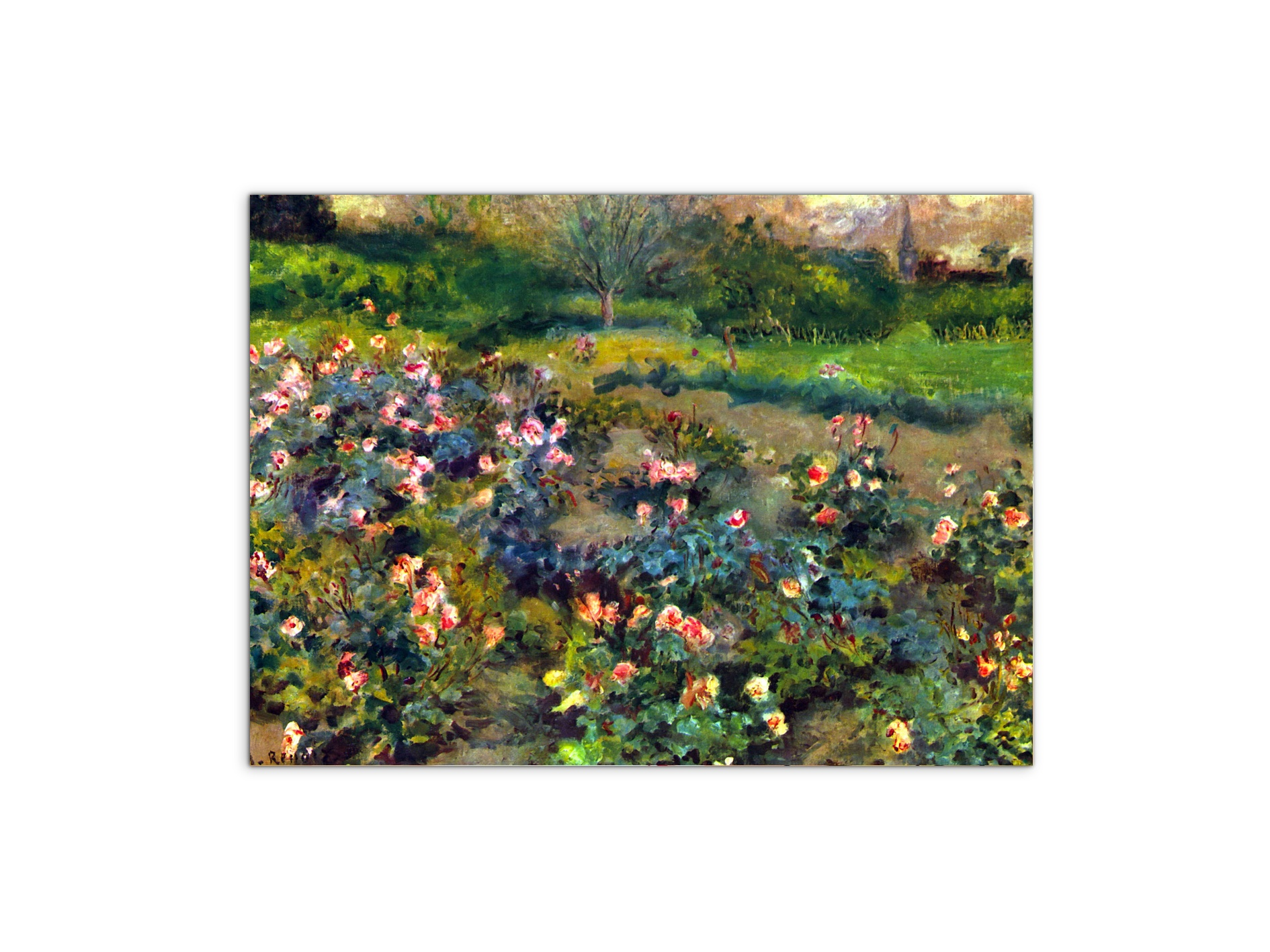 rose-groveas92793-