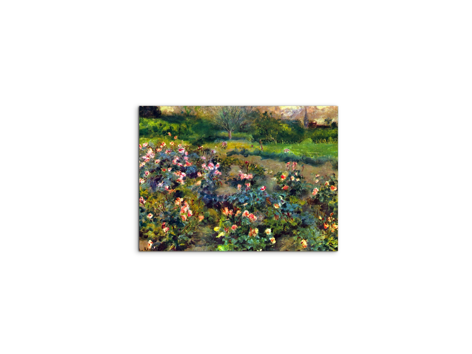 rose-groveas92793-