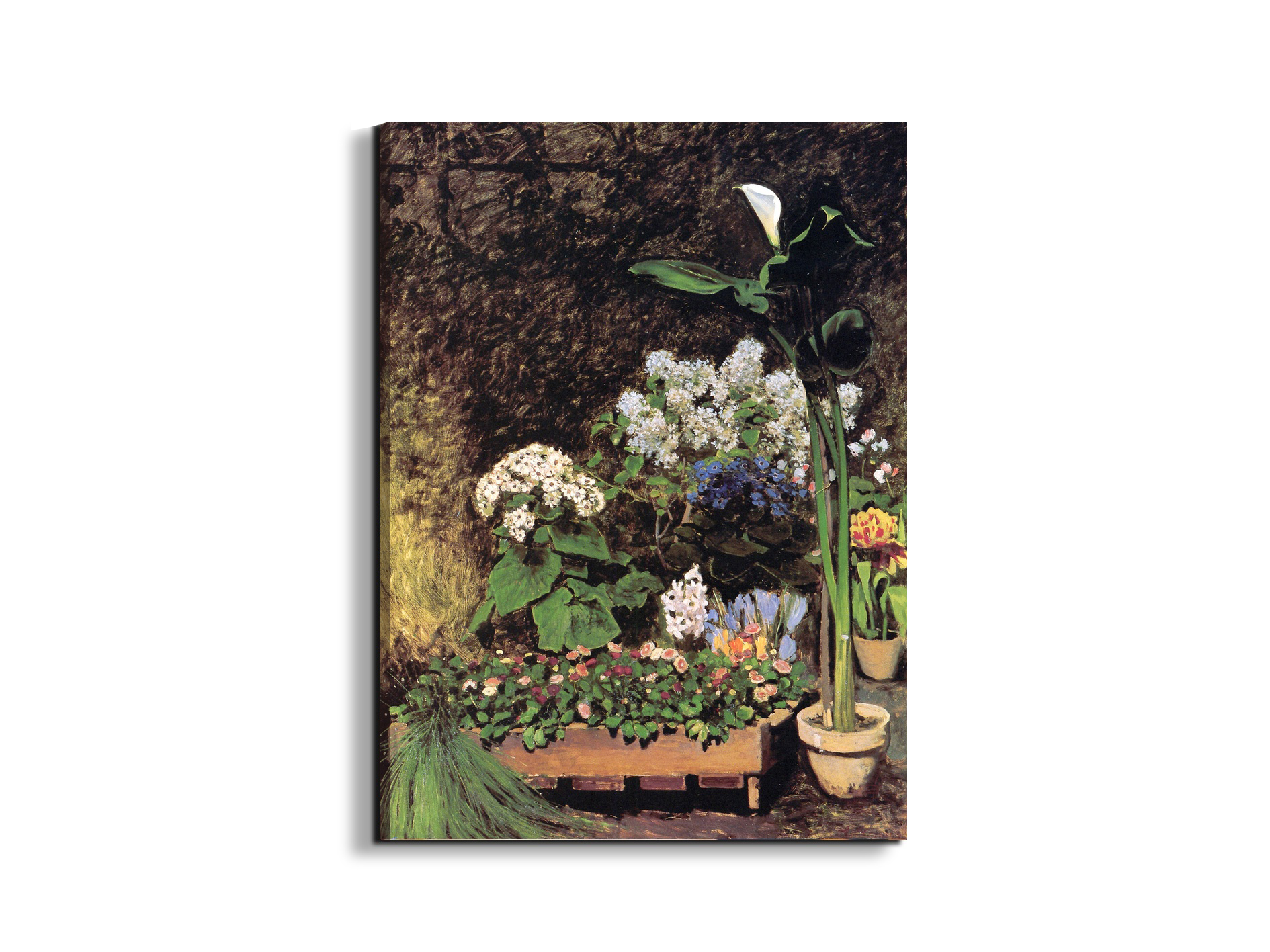 spring-flowersas92801-