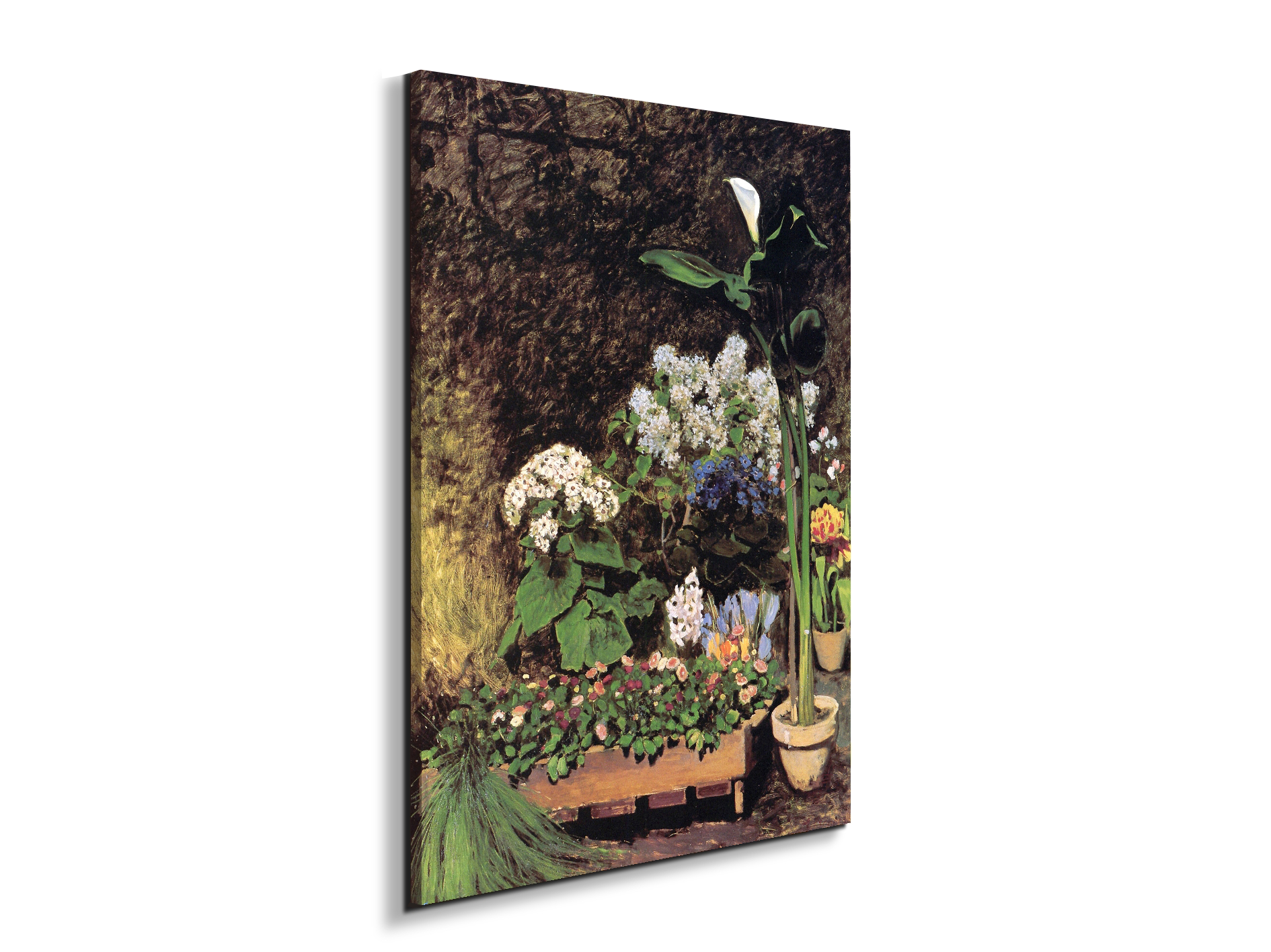 spring-flowersas92801-