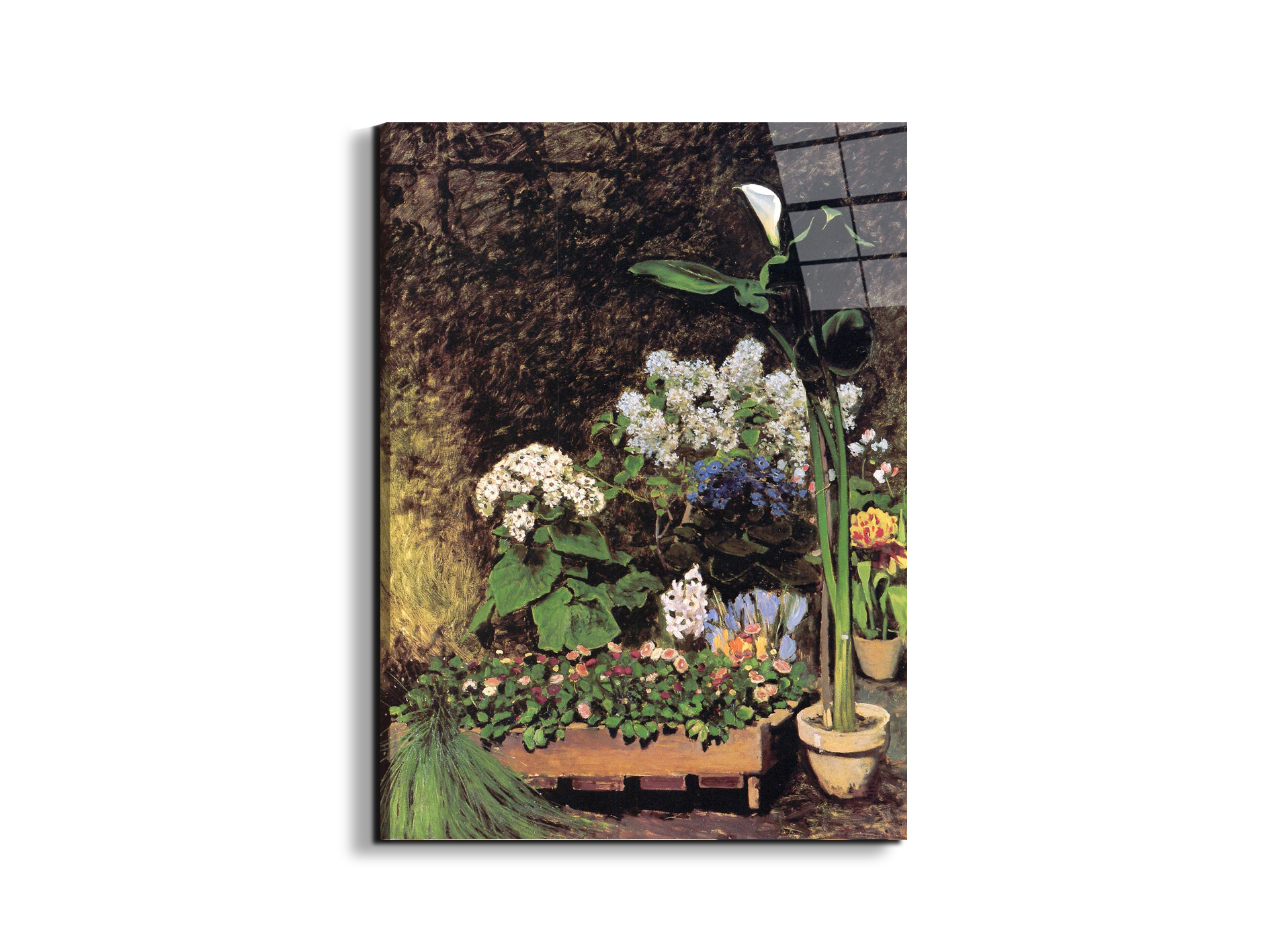 spring-flowersas92801-