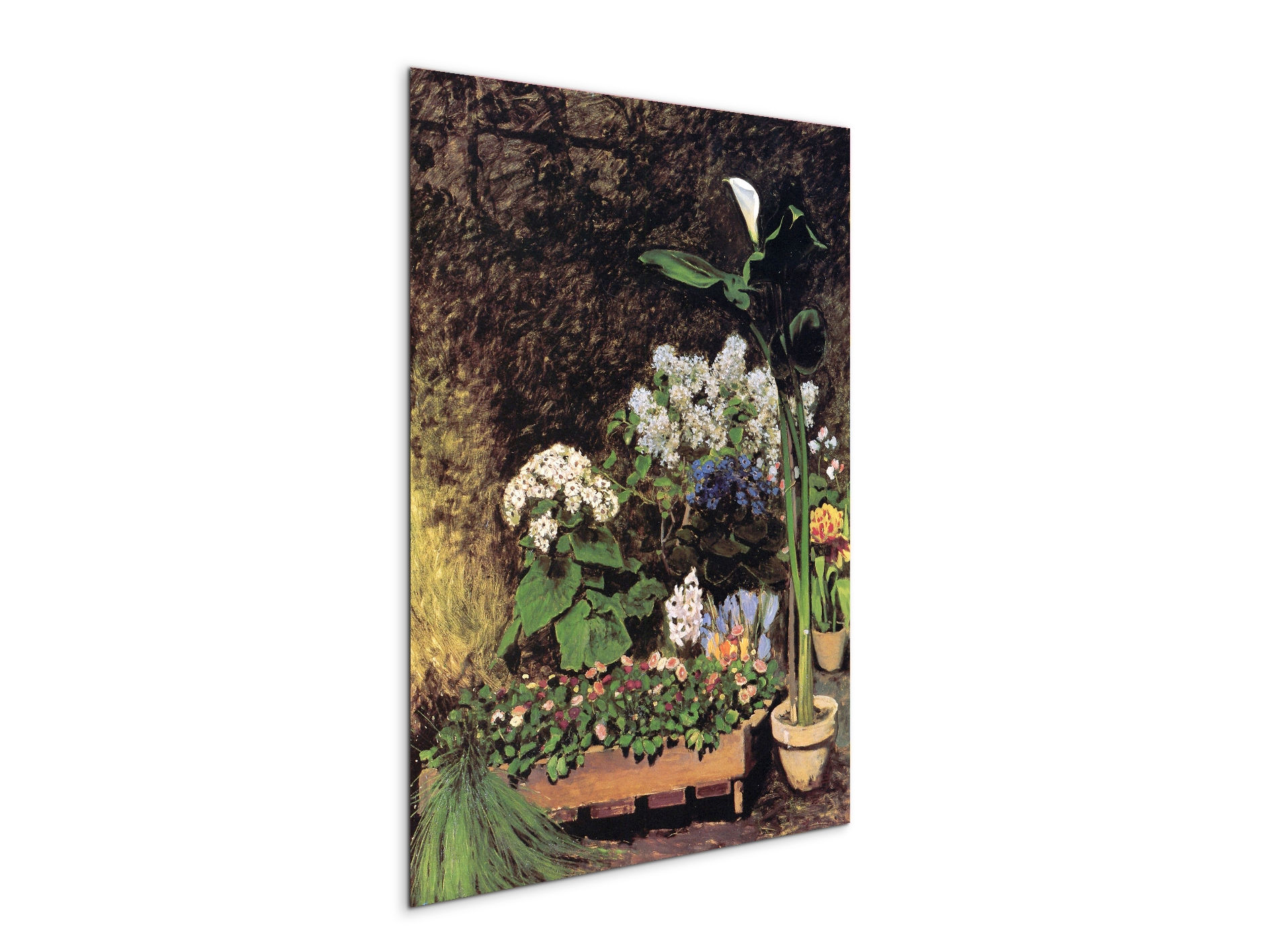 spring-flowersas92801-