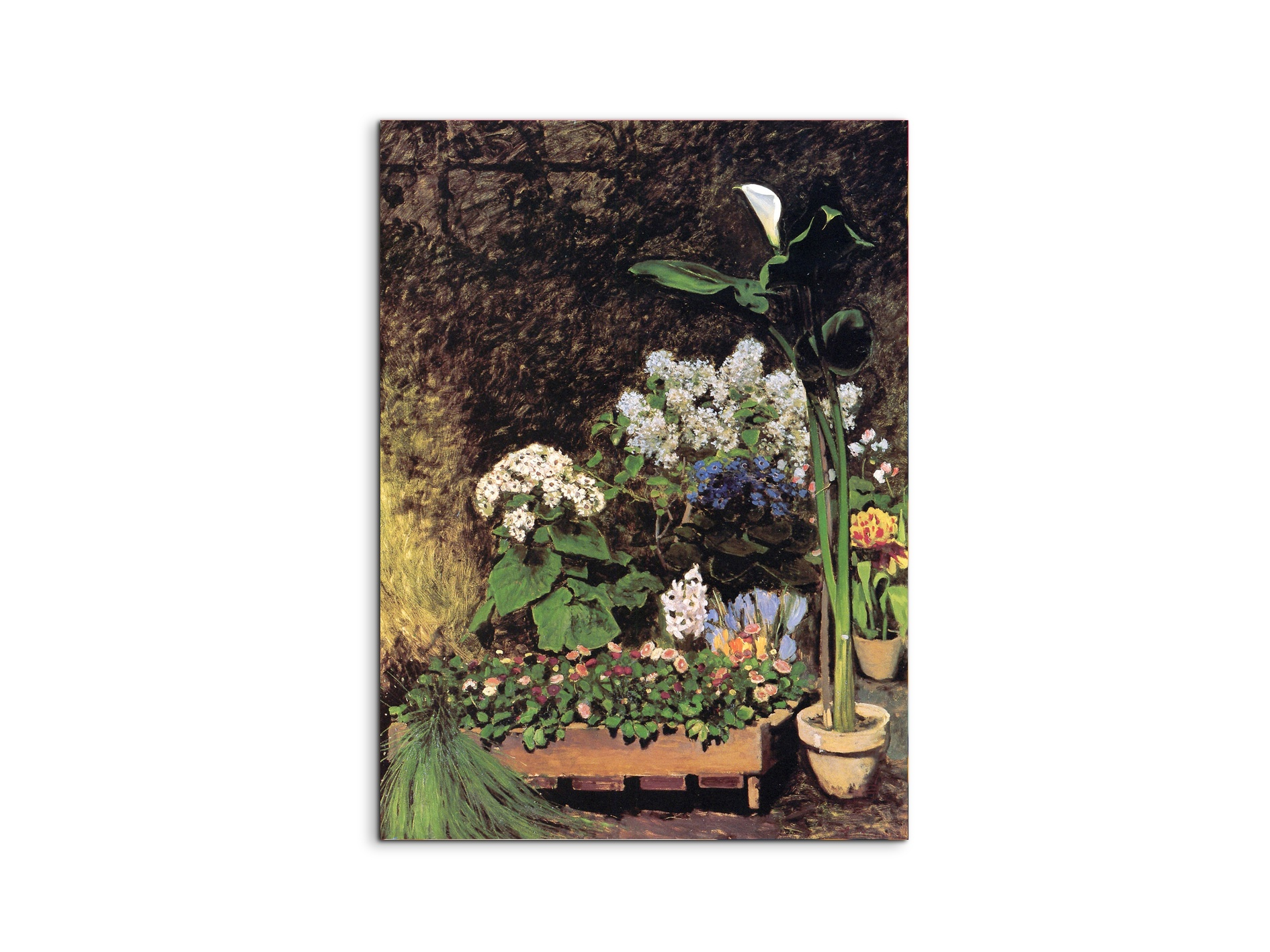 spring-flowersas92801-