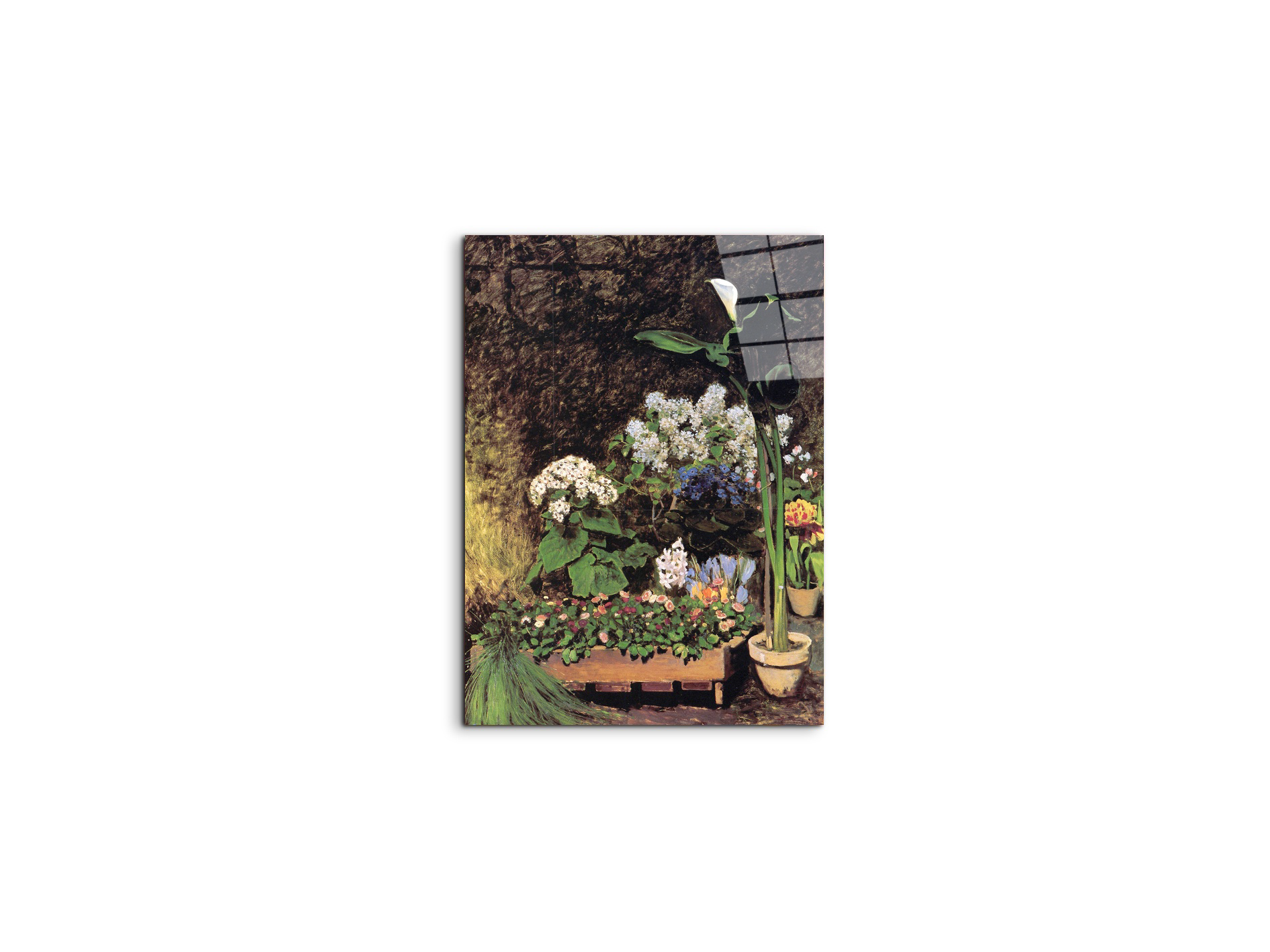 spring-flowersas92801-