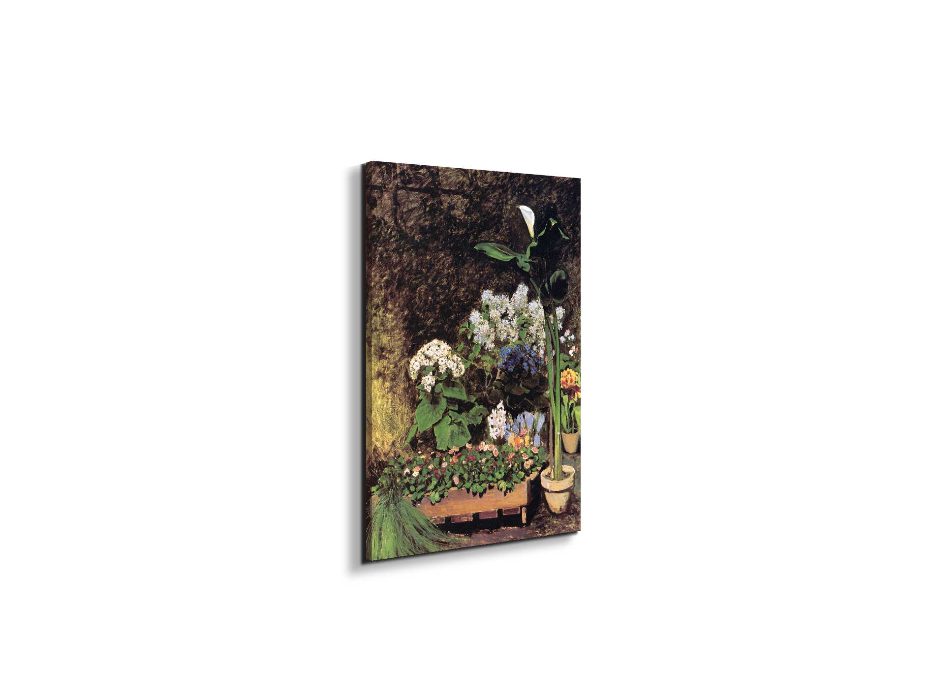 spring-flowersas92801-