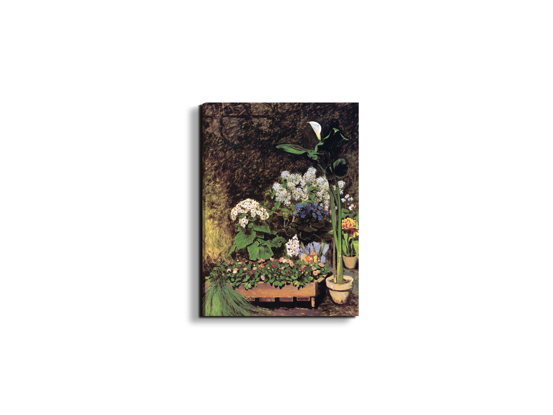 spring-flowersas92801-