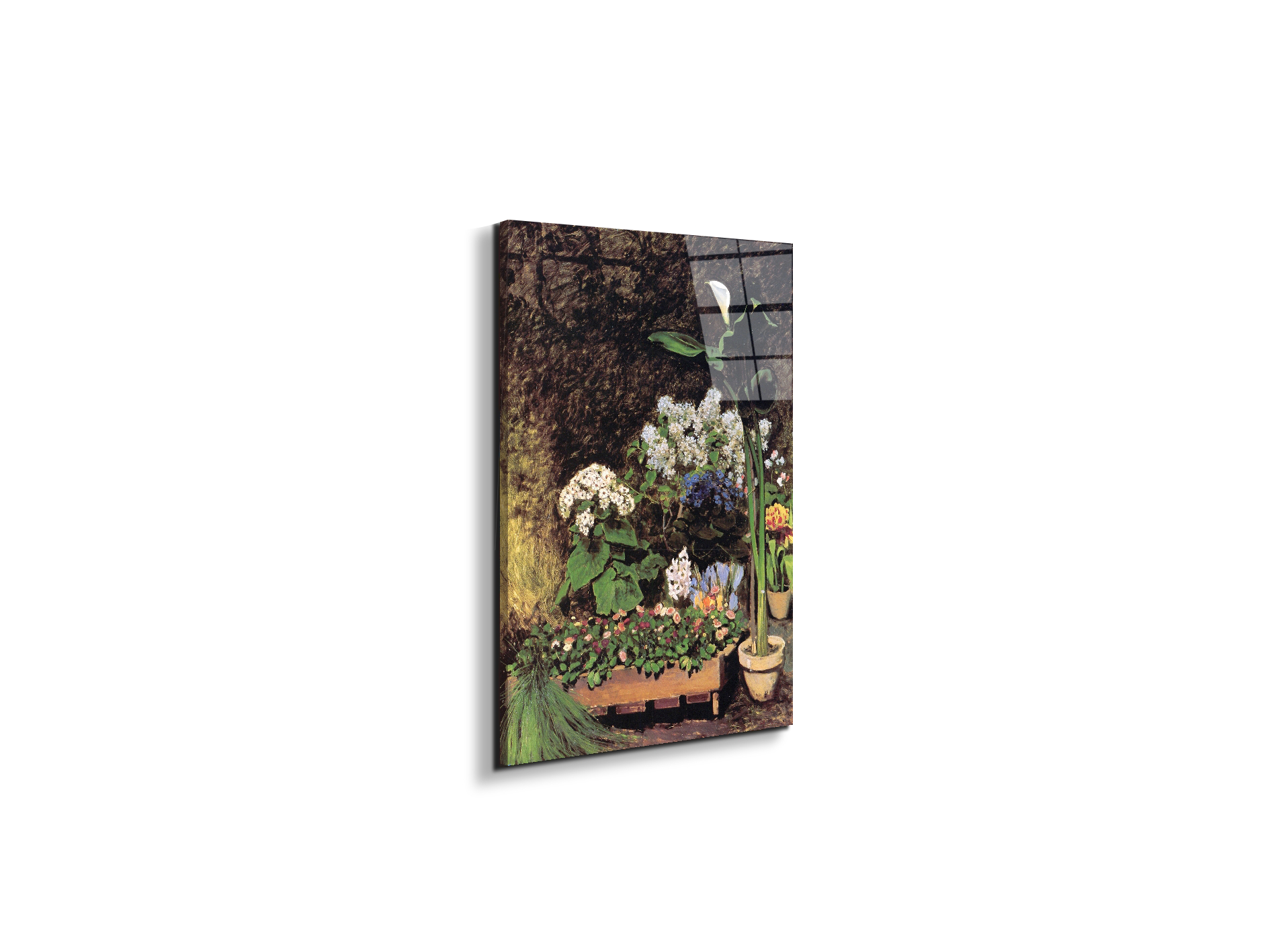 spring-flowersas92801-